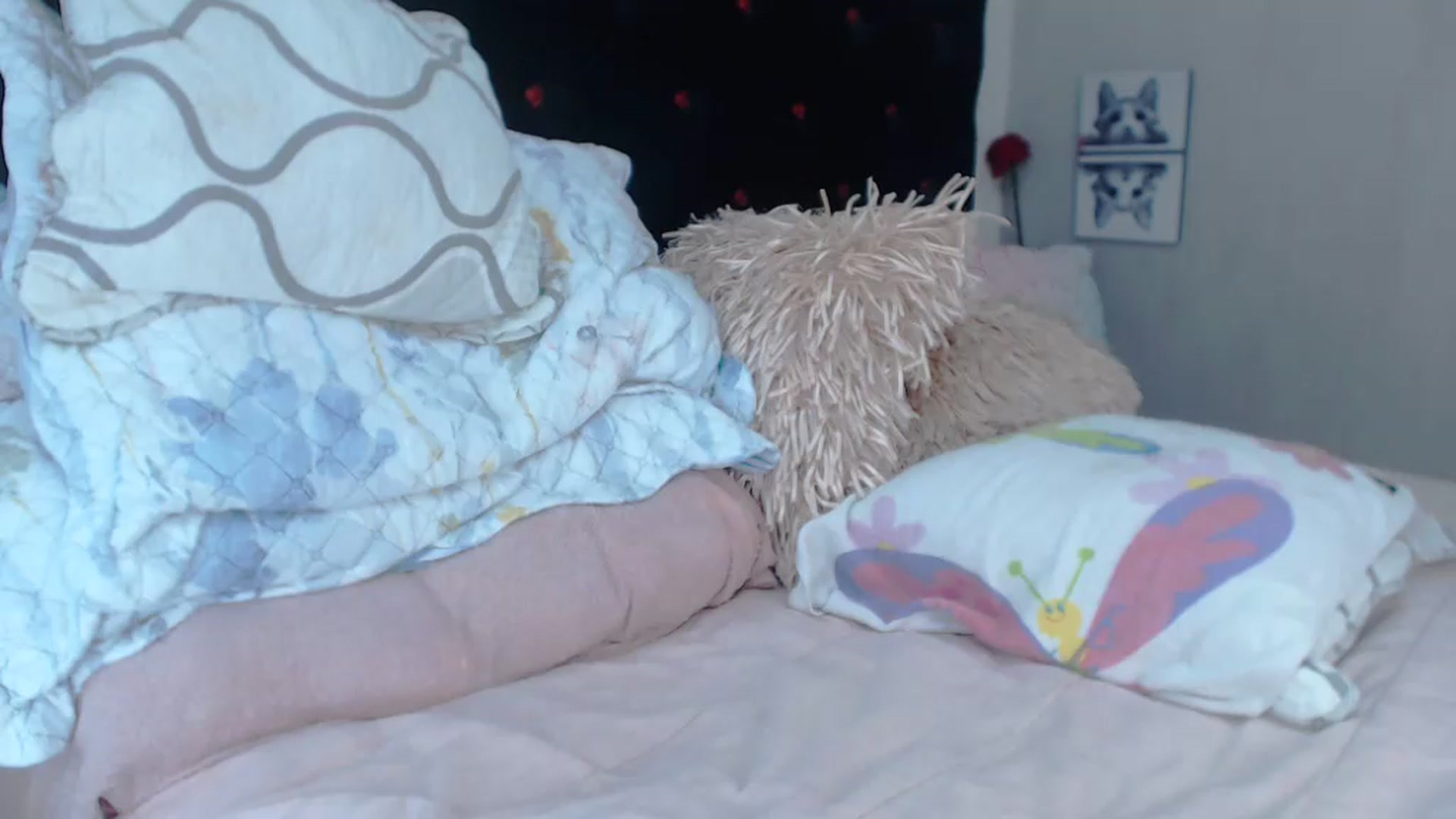 Gallery image thumbnail from SexyAlexaX's myfreecams stream on, 07/20/2023, 17:16 image 17 of 20