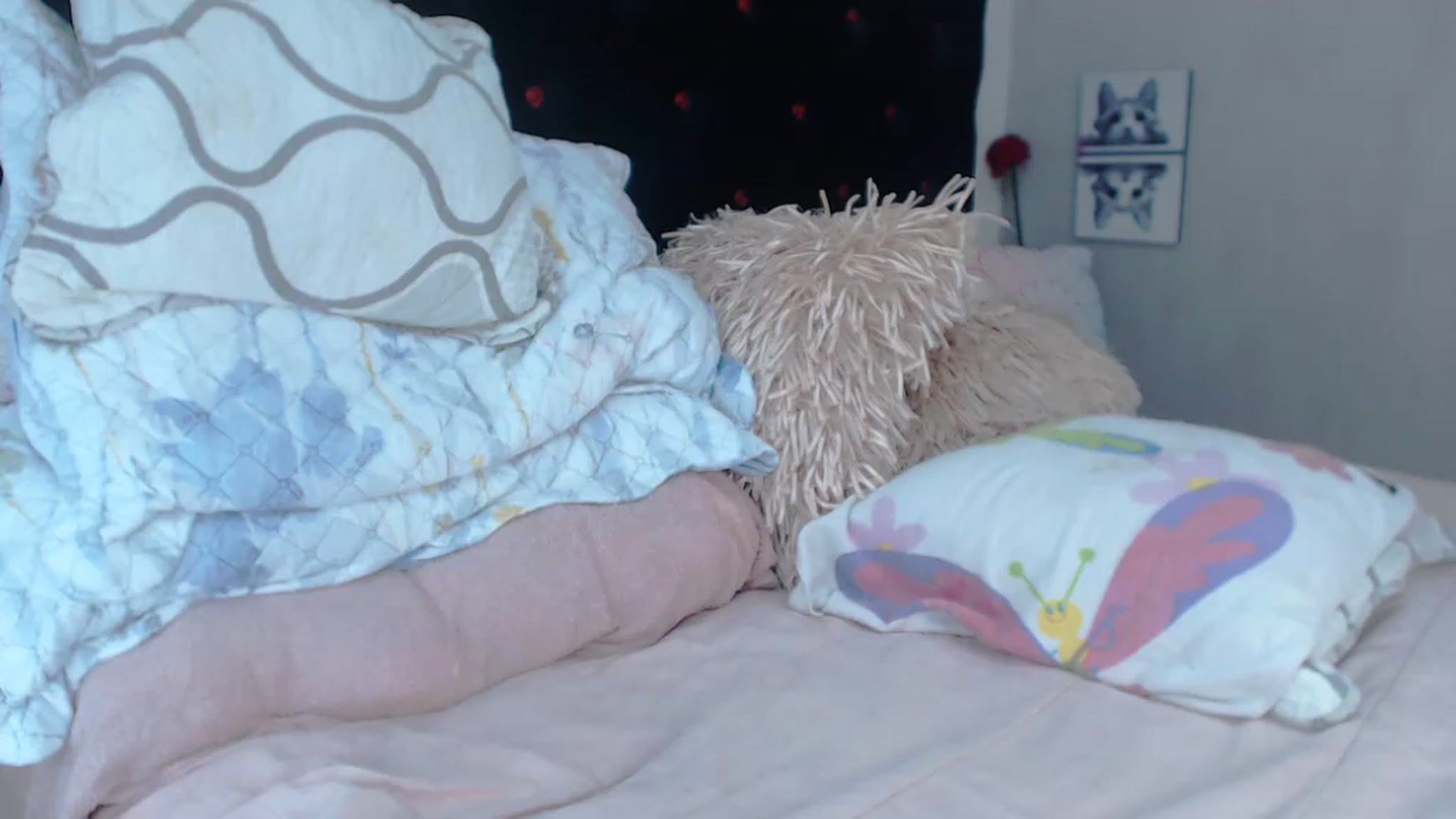 Gallery image thumbnail from SexyAlexaX's myfreecams stream on, 07/20/2023, 17:16 image 20 of 20