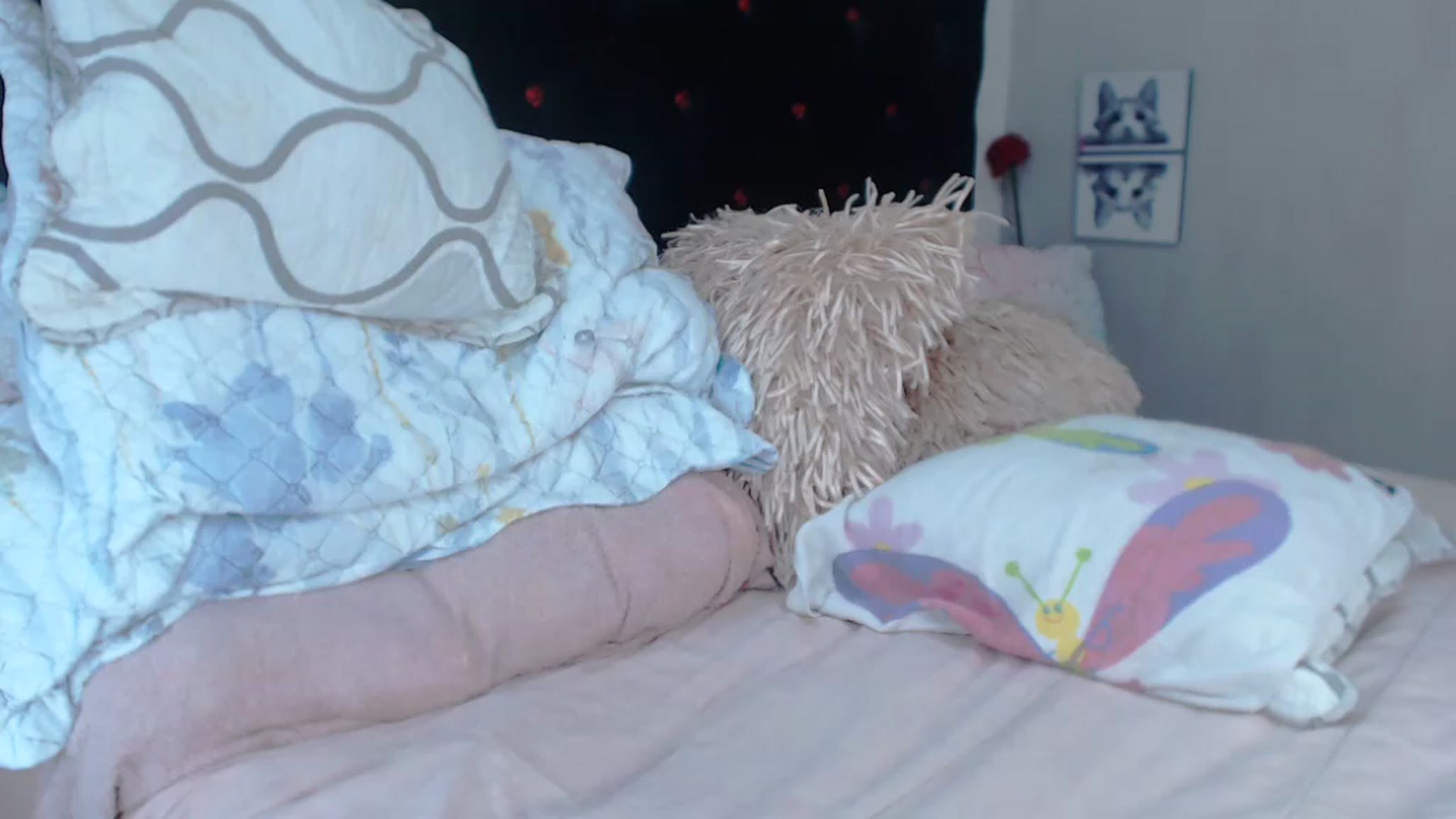 Gallery image thumbnail from SexyAlexaX's myfreecams stream on, 07/20/2023, 17:16 image 11 of 20