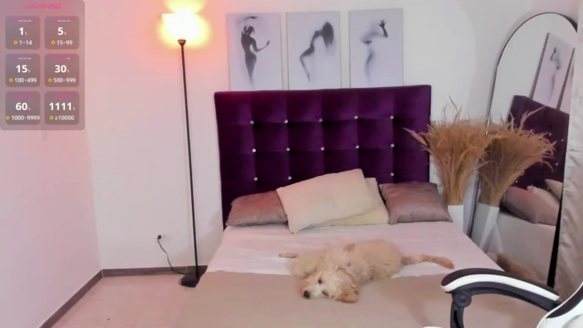 Gallery image thumbnail from SexyGirll_'s myfreecams stream on, 07/17/2025, 04:31 image 15 of 20