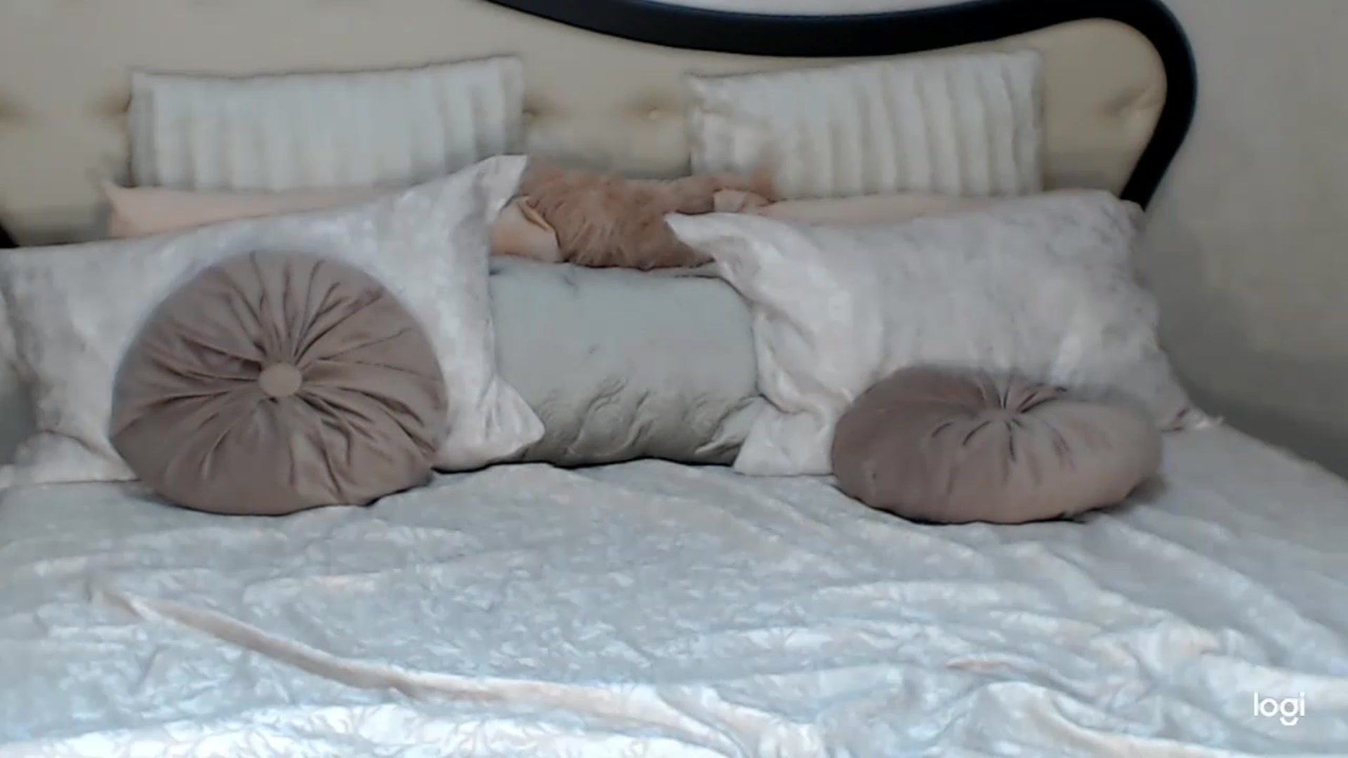 Gallery image thumbnail from SexyIceCreeam's myfreecams stream on, 03/21/2023, 05:36 image 10 of 20