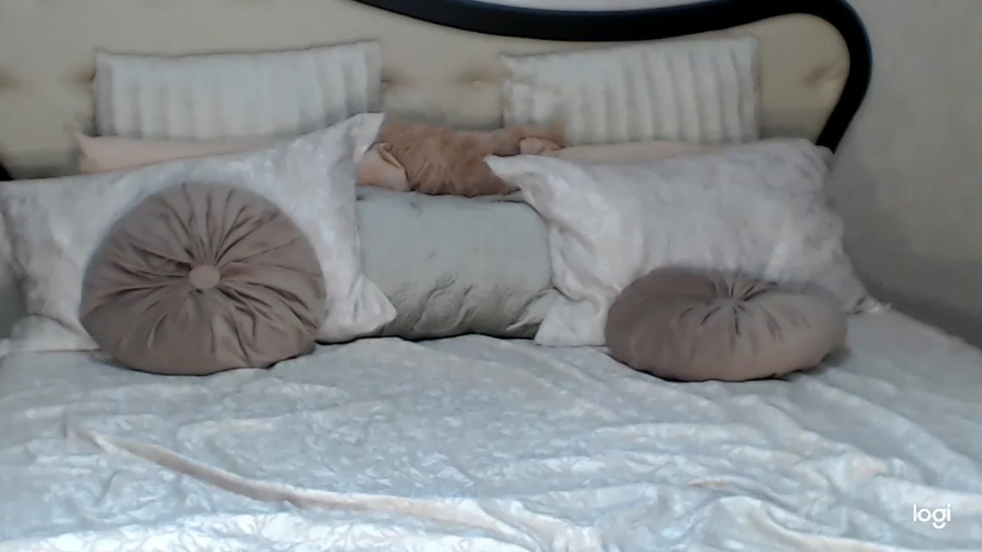 Gallery image thumbnail from SexyIceCreeam's myfreecams stream on, 03/21/2023, 05:36 image 11 of 20