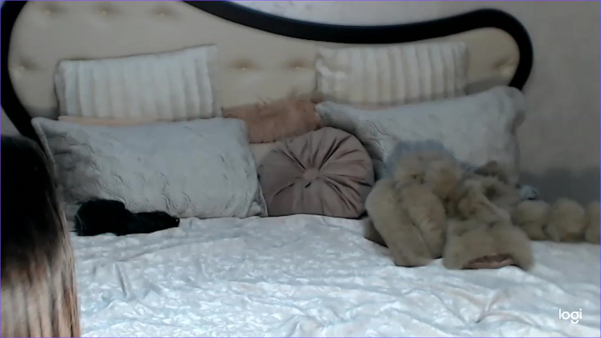 Gallery image thumbnail from SexyIceCreeam's myfreecams stream on, 05/31/2023, 05:12 image 6 of 20