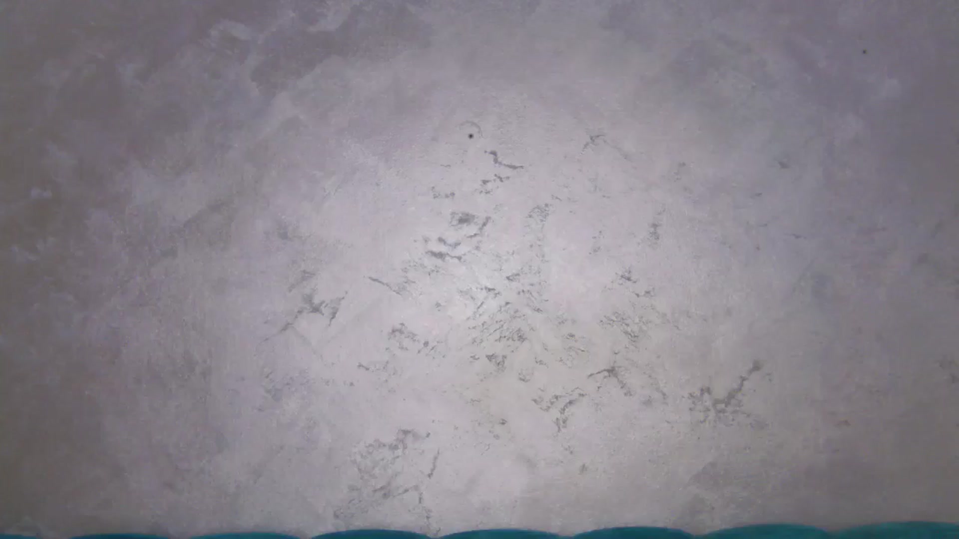 Gallery image thumbnail from SexyLittleMe's myfreecams stream on, 11/05/2024, 15:52 image 12 of 20