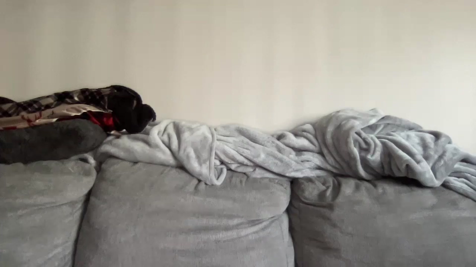 Gallery image thumbnail from Sexy_Sona's myfreecams stream on, 02/01/2024, 20:29 image 20 of 20
