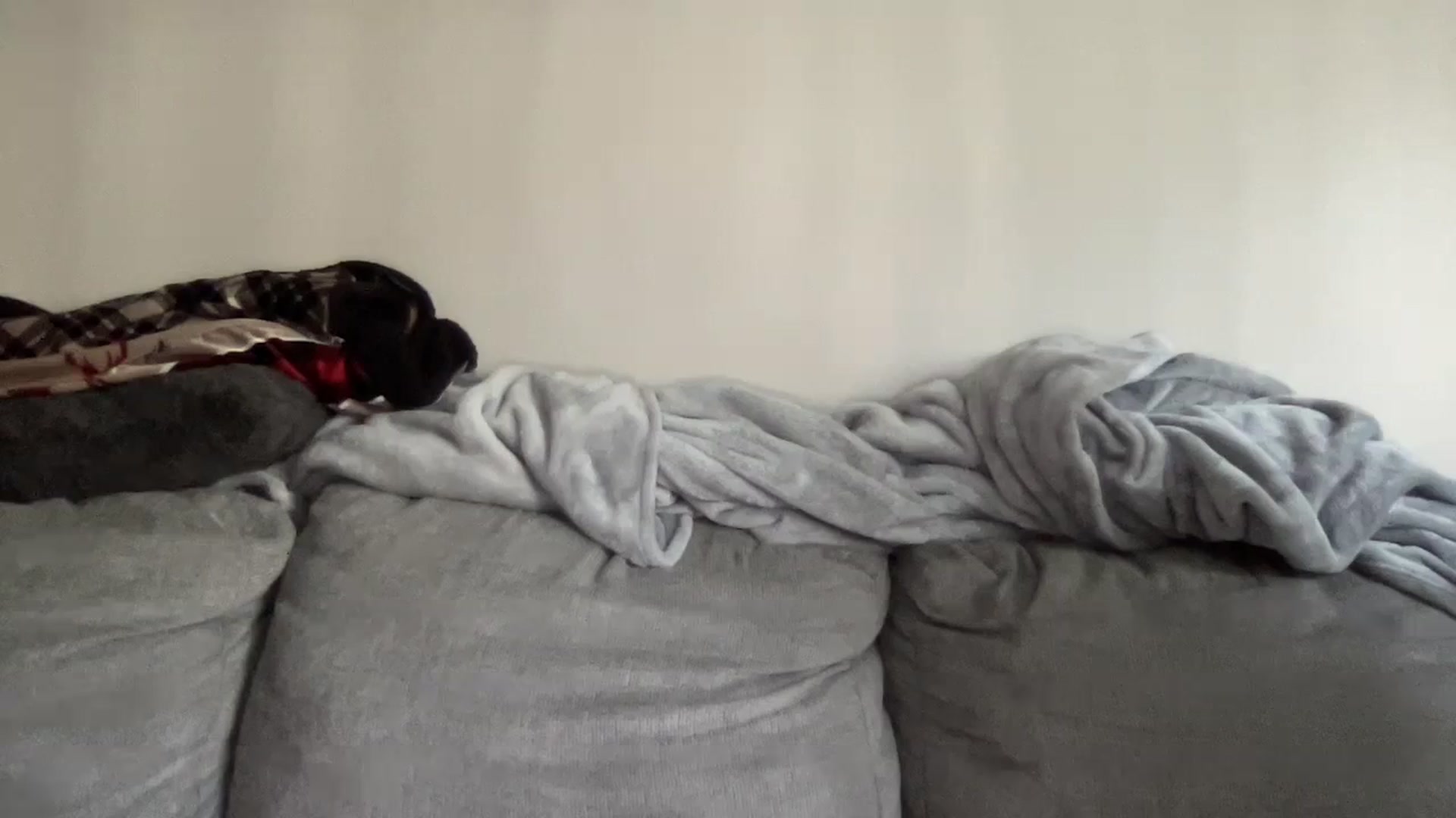 Gallery image thumbnail from Sexy_Sona's myfreecams stream on, 02/01/2024, 20:29 image 18 of 20