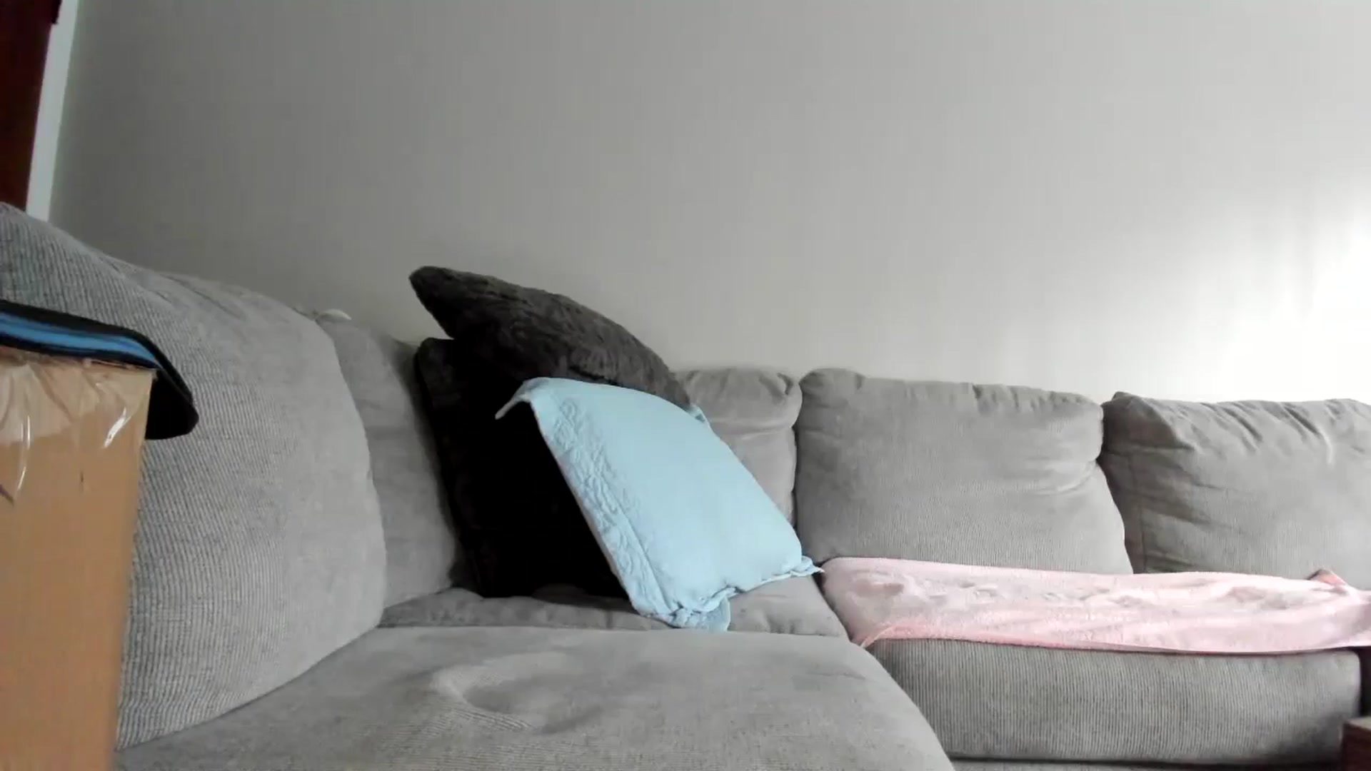 Gallery image thumbnail from Sexy_Sona's myfreecams stream on, 05/07/2024, 14:16 image 6 of 20