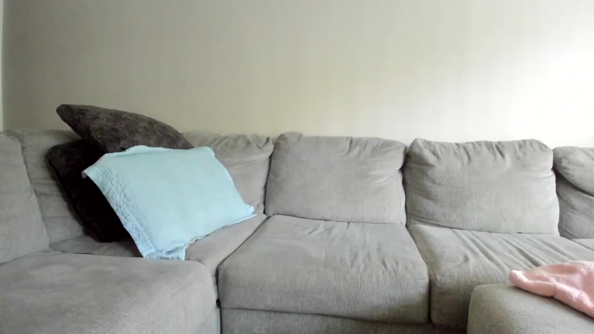 Gallery image thumbnail from Sexy_Sona's myfreecams stream on, 05/21/2024, 14:23 image 3 of 20