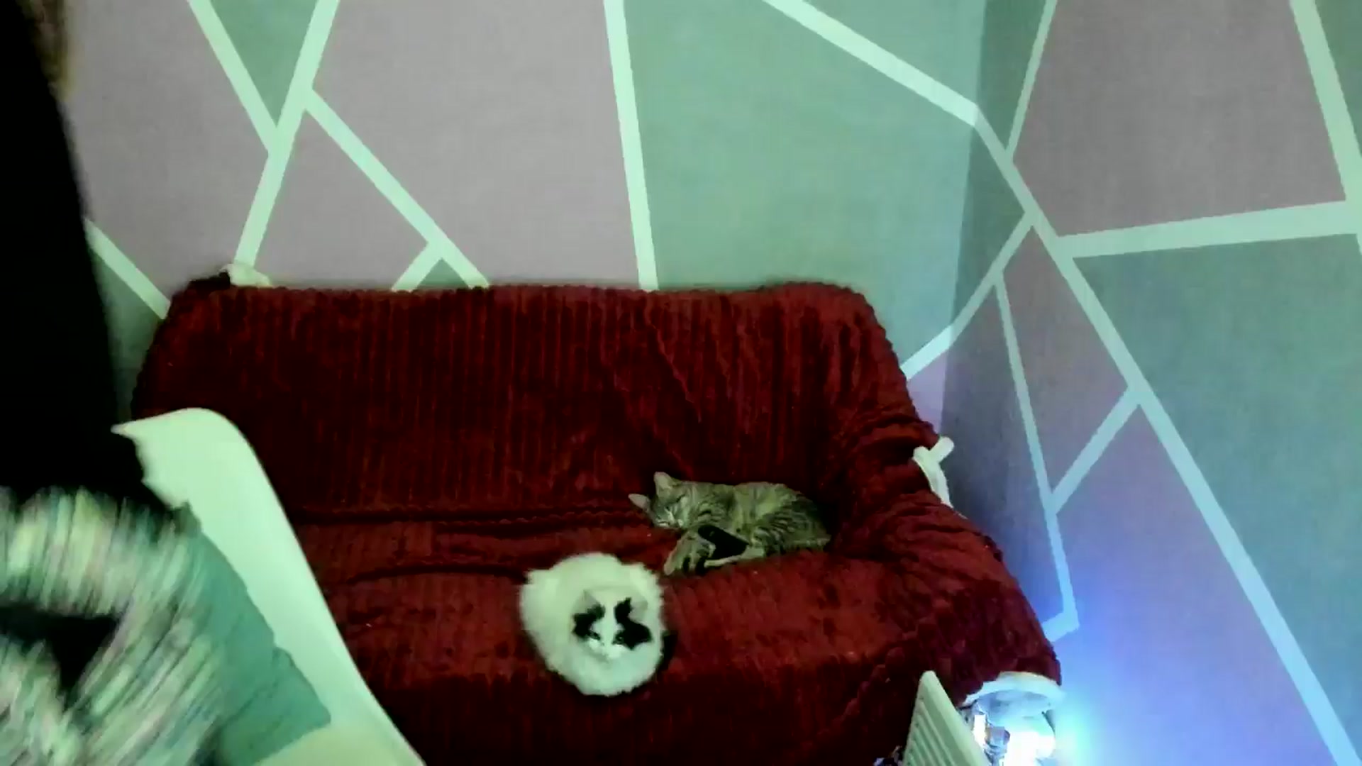 Gallery image thumbnail from Sexy_Ukr's myfreecams stream on, 03/01/2026, 18:56 image 4 of 20