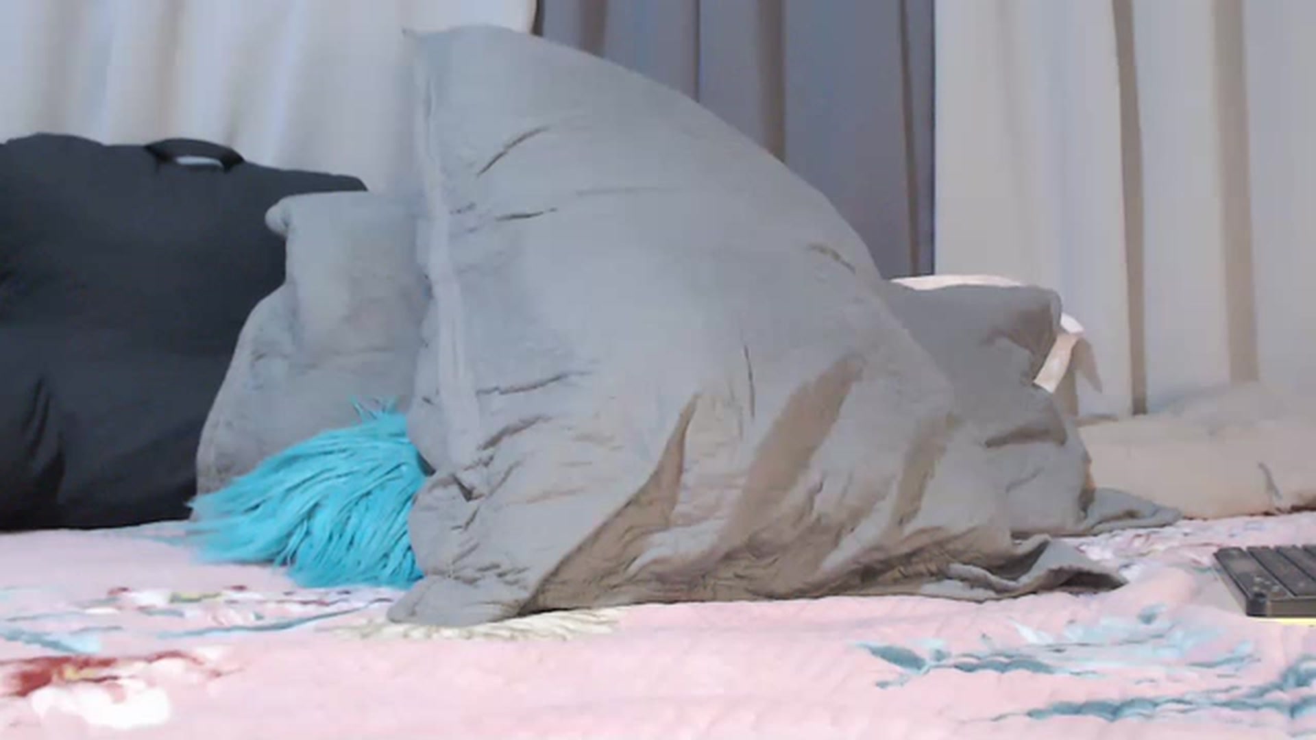 Gallery image thumbnail from Sexy_ass24's myfreecams stream on, 07/30/2023, 20:53 image 12 of 20