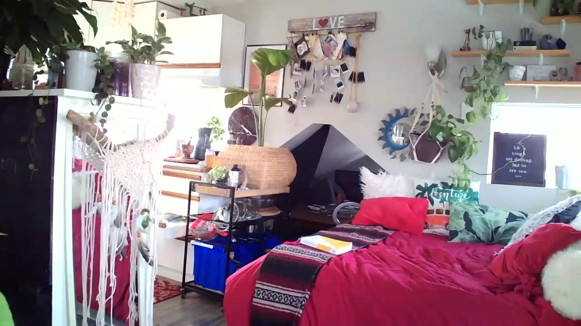 Gallery image thumbnail from Sexylexi211's myfreecams stream on, 11/18/2022, 16:32 image 6 of 20