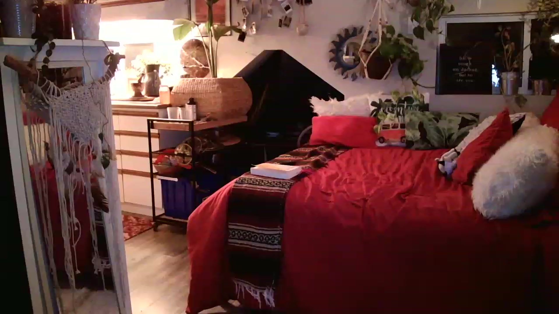 Gallery image thumbnail from Sexylexi211's myfreecams stream on, 11/19/2022, 06:32 image 16 of 20