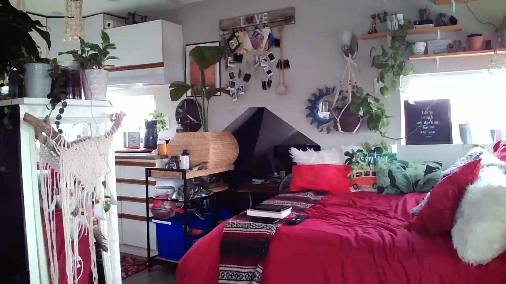 Gallery image thumbnail from Sexylexi211's myfreecams stream on, 11/19/2022, 19:40 image 12 of 20