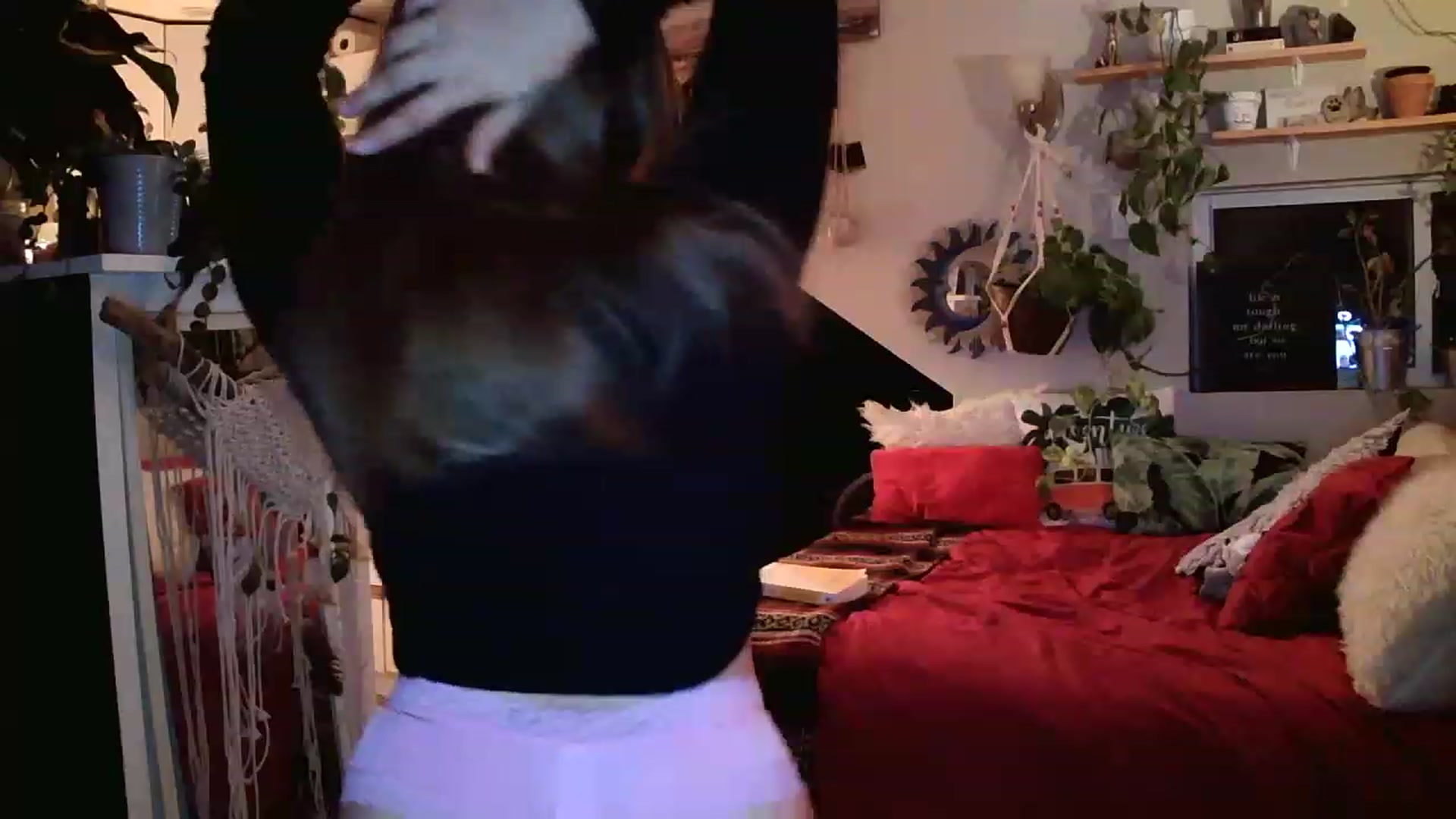 Gallery image thumbnail from Sexylexi211's myfreecams stream on, 11/20/2022, 05:39 image 15 of 20