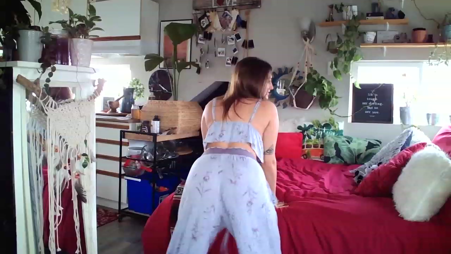 Gallery image thumbnail from Sexylexi211's myfreecams stream on, 11/20/2022, 18:35 image 2 of 20