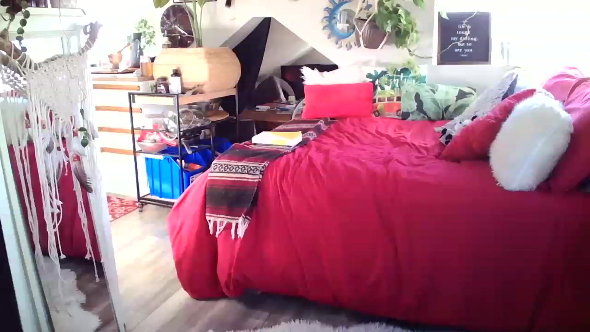 Gallery image thumbnail from Sexylexi211's myfreecams stream on, 11/20/2022, 19:54 image 14 of 20