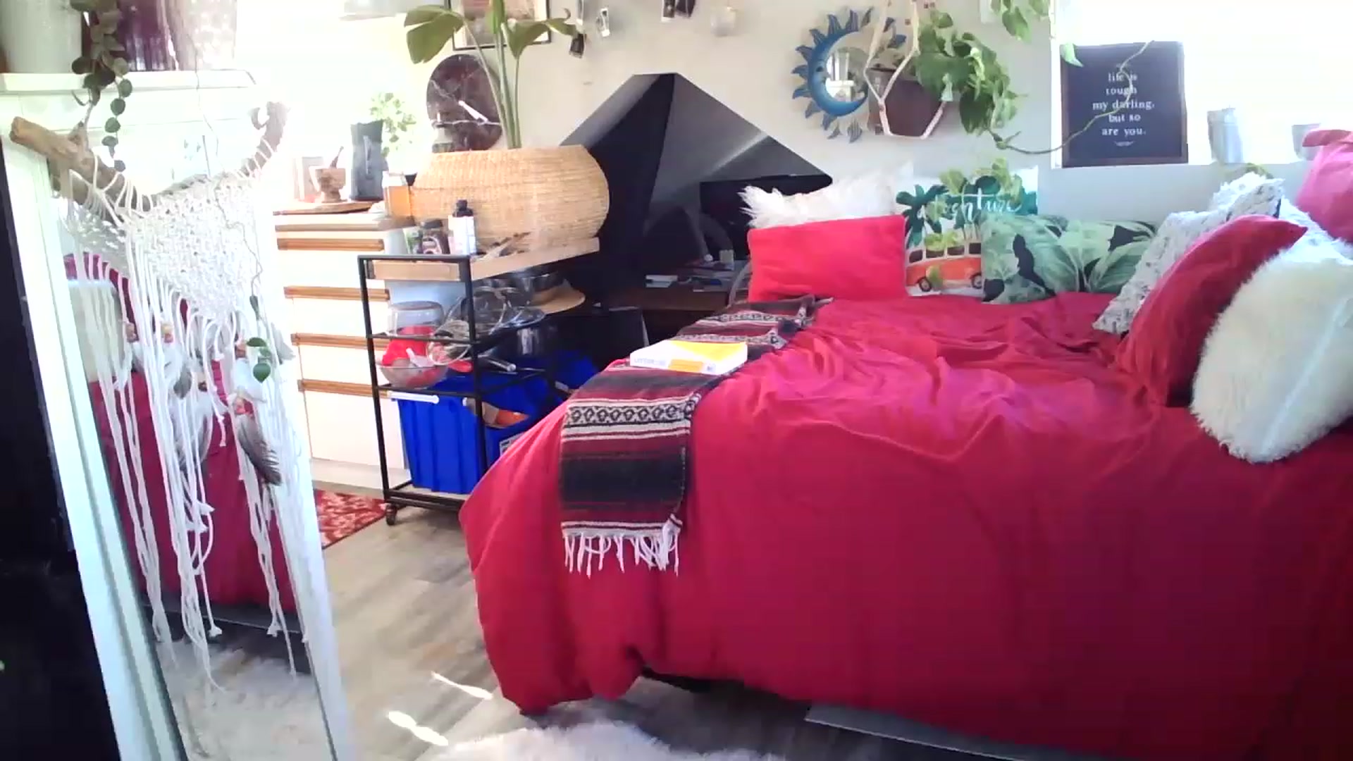 Gallery image thumbnail from Sexylexi211's myfreecams stream on, 11/21/2022, 17:05 image 19 of 20