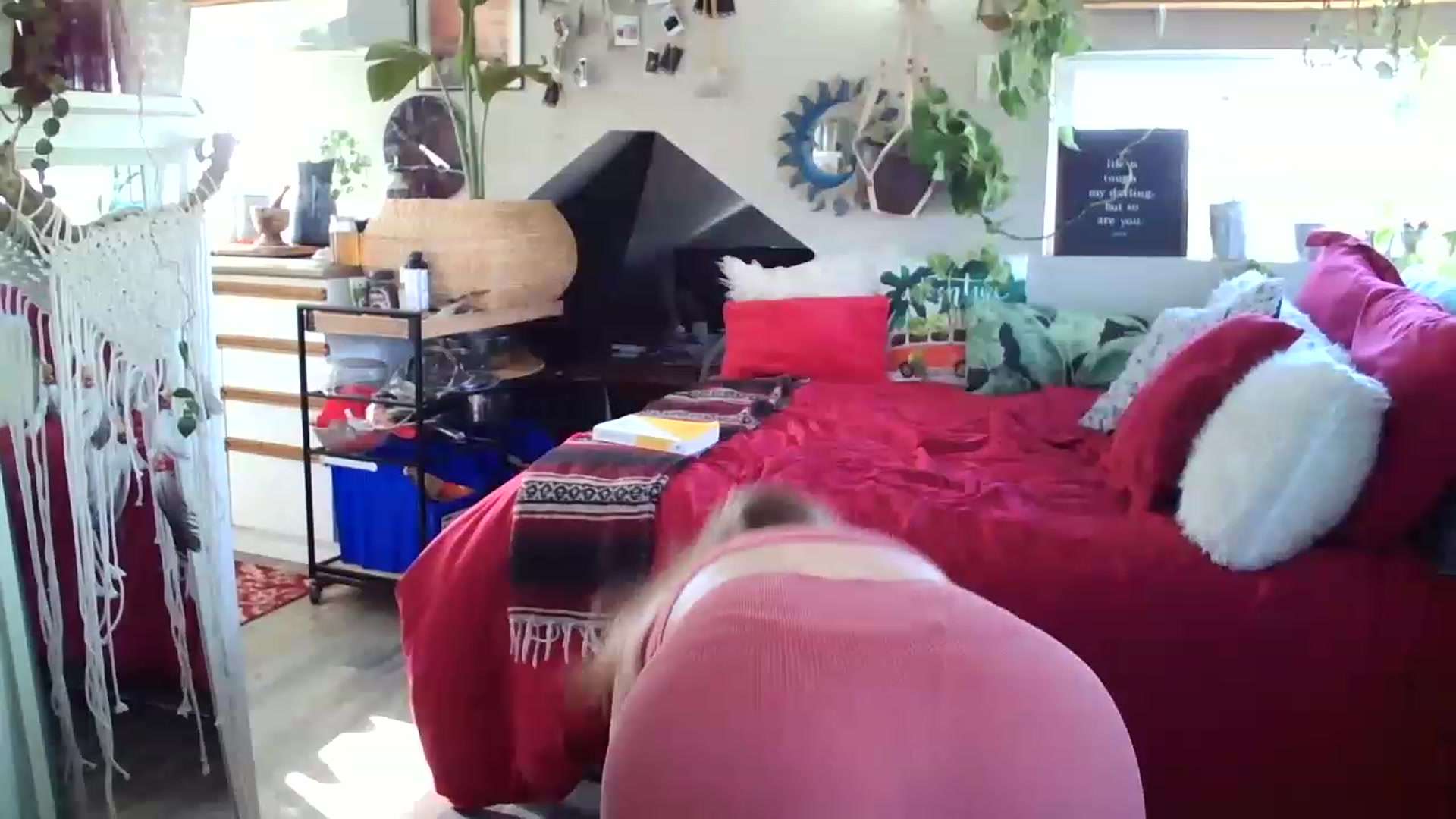 Gallery image thumbnail from Sexylexi211's myfreecams stream on, 11/21/2022, 17:36 image 8 of 20