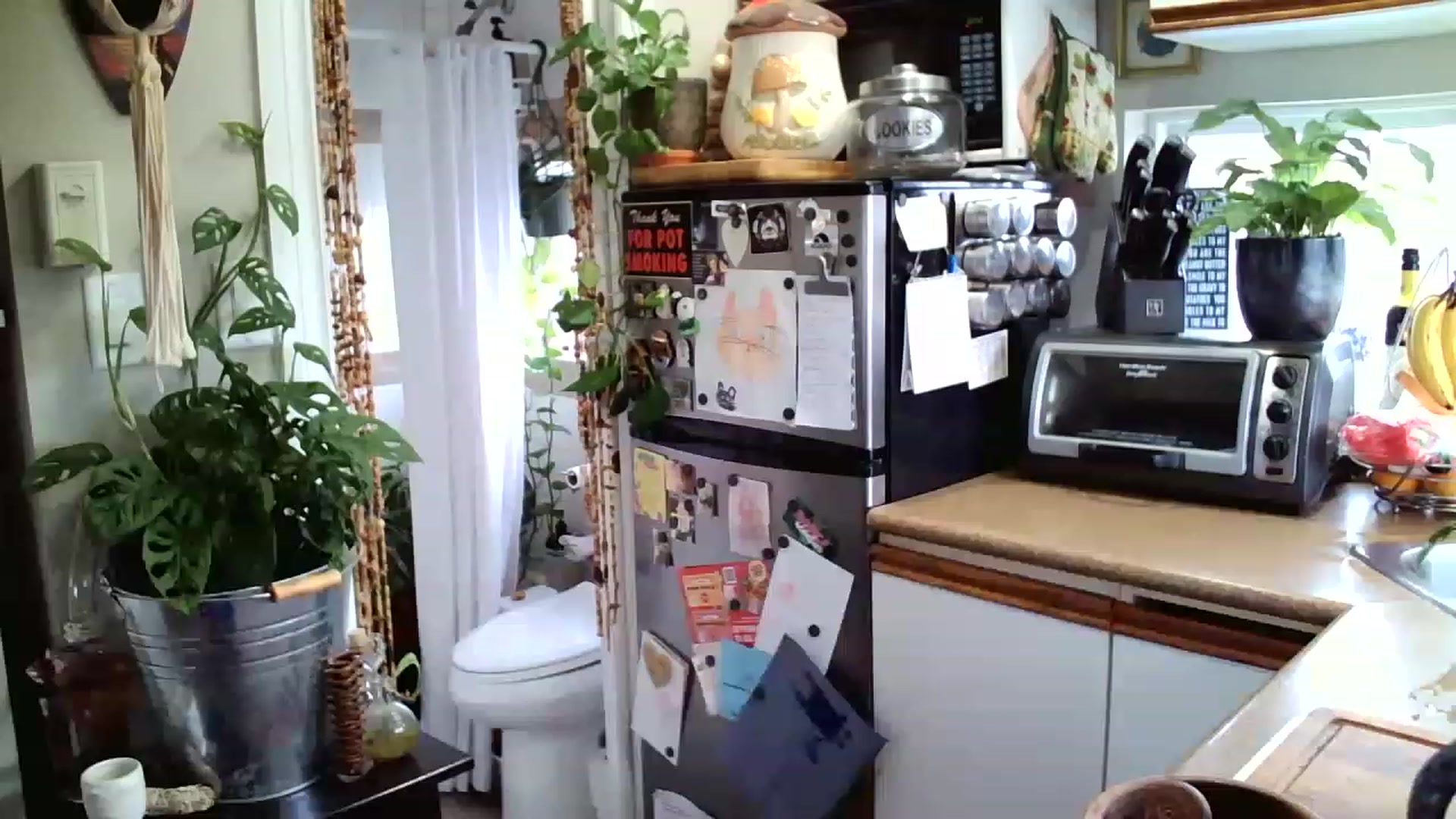 Gallery image thumbnail from Sexylexi211's myfreecams stream on, 11/22/2022, 16:38 image 5 of 20