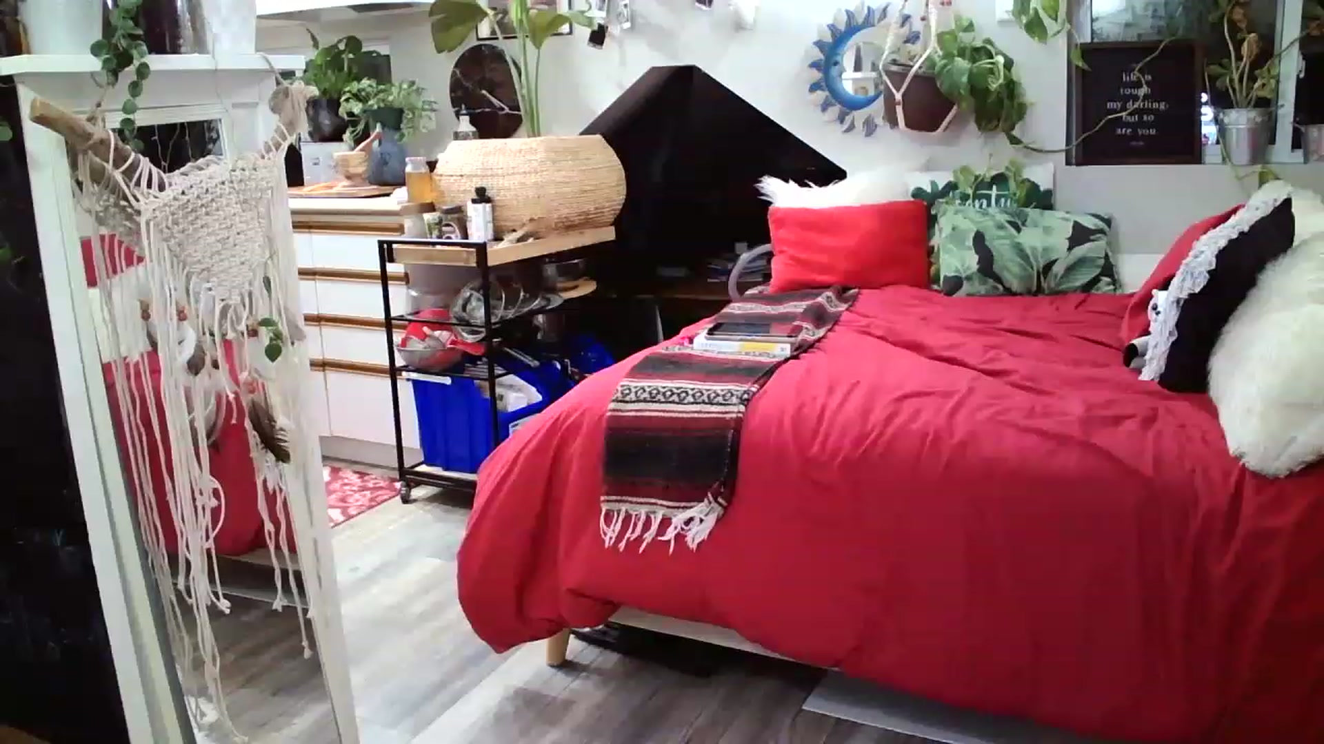 Gallery image thumbnail from Sexylexi211's myfreecams stream on, 11/23/2022, 04:20 image 17 of 20