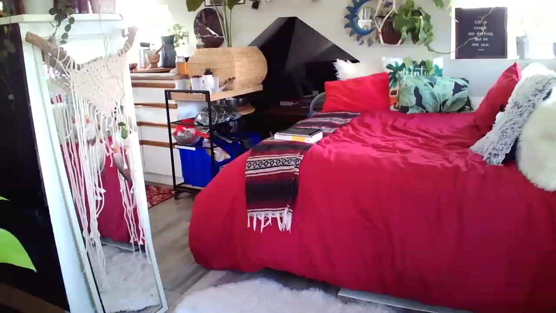 Gallery image thumbnail from Sexylexi211's myfreecams stream on, 11/25/2022, 16:03 image 5 of 20