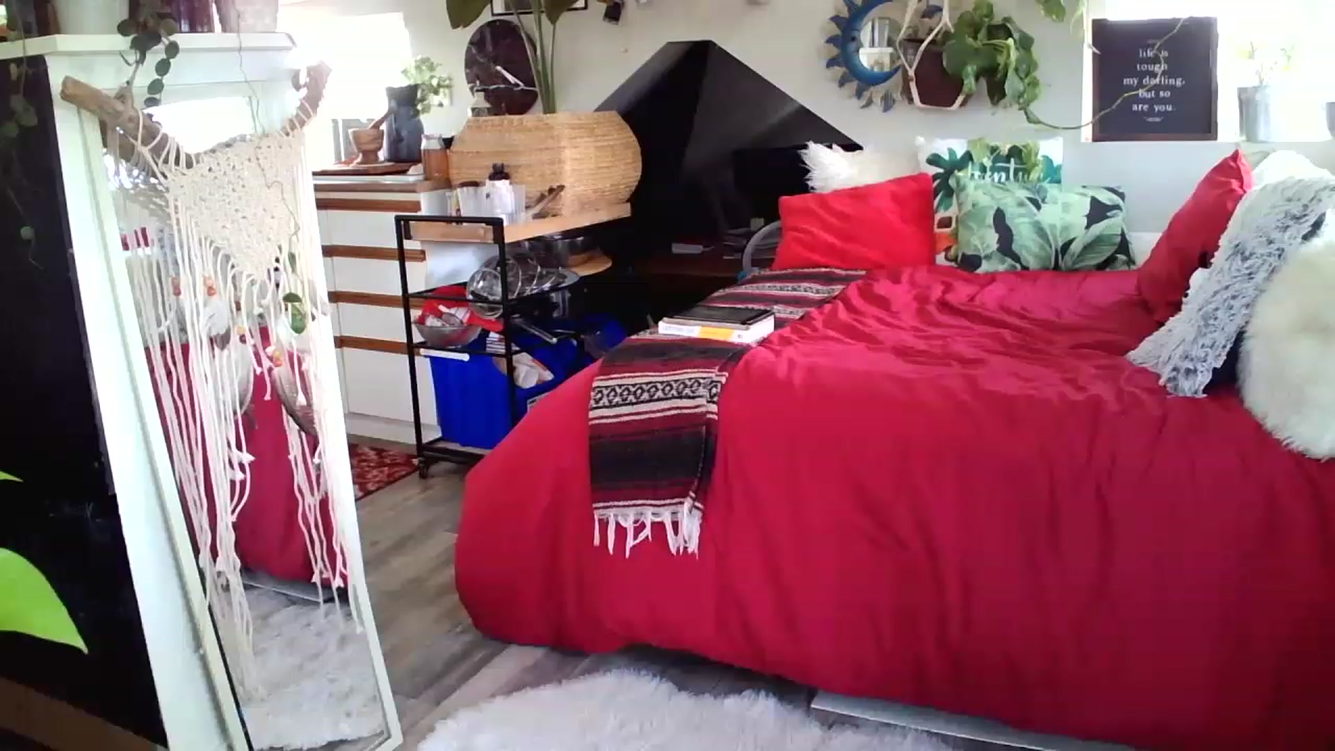 Gallery image thumbnail from Sexylexi211's myfreecams stream on, 11/25/2022, 16:03 image 8 of 20