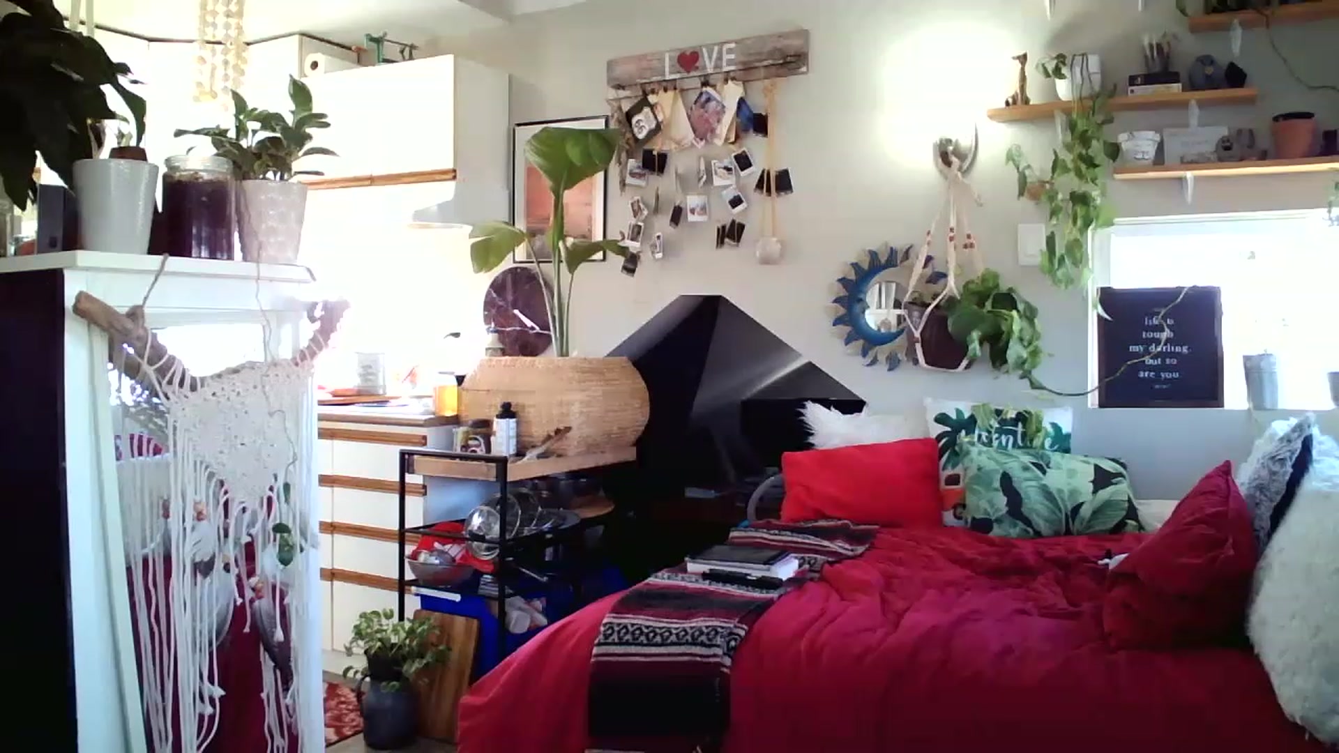 Gallery image thumbnail from Sexylexi211's myfreecams stream on, 12/02/2022, 01:14 image 16 of 20