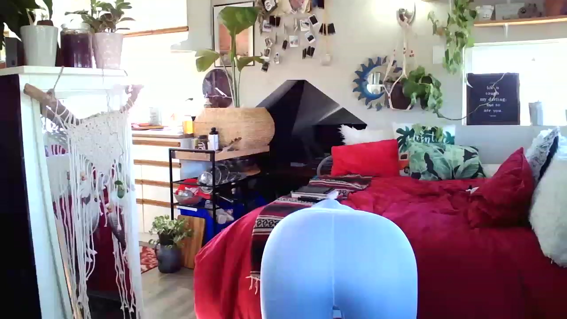 Gallery image thumbnail from Sexylexi211's myfreecams stream on, 12/02/2022, 01:14 image 14 of 20