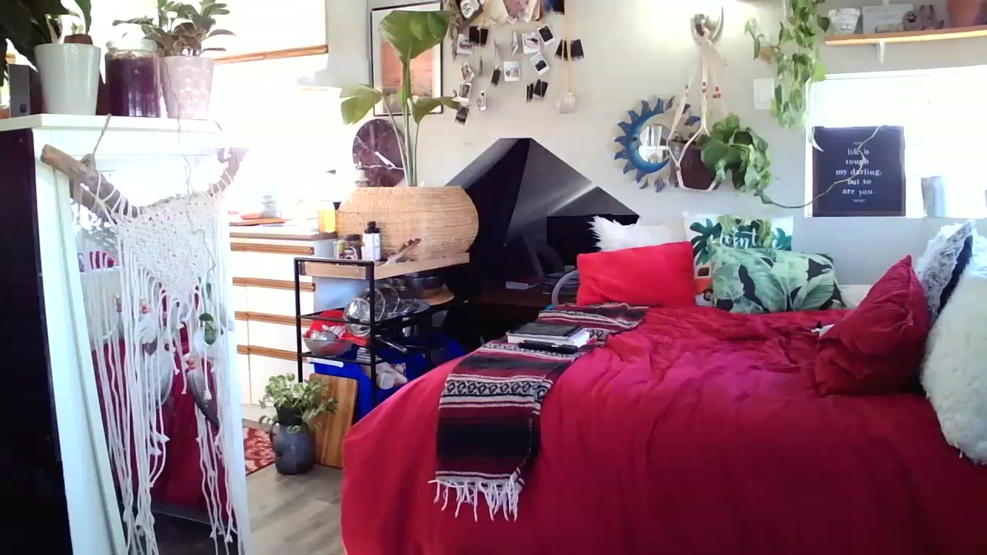 Gallery image thumbnail from Sexylexi211's myfreecams stream on, 12/02/2022, 01:14 image 15 of 20
