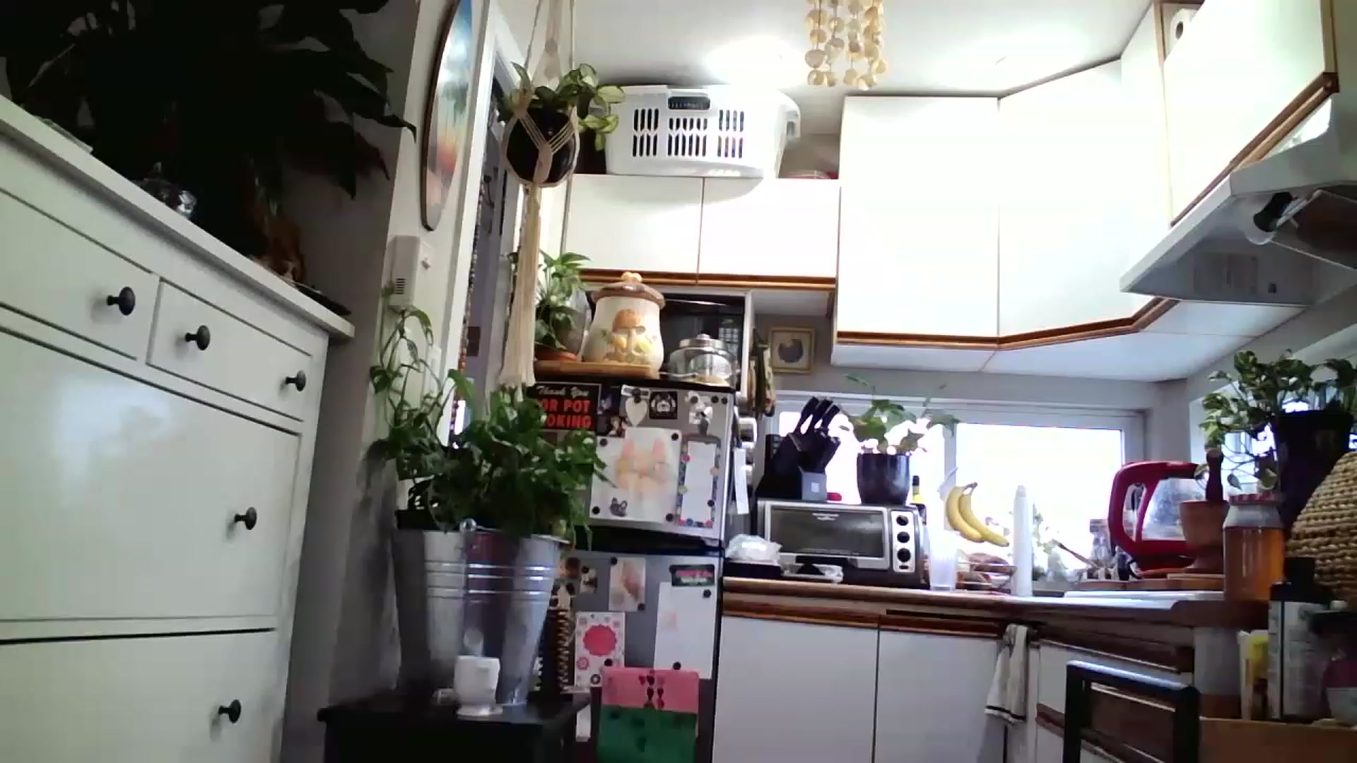 Gallery image thumbnail from Sexylexi211's myfreecams stream on, 01/01/2023, 20:53 image 8 of 20