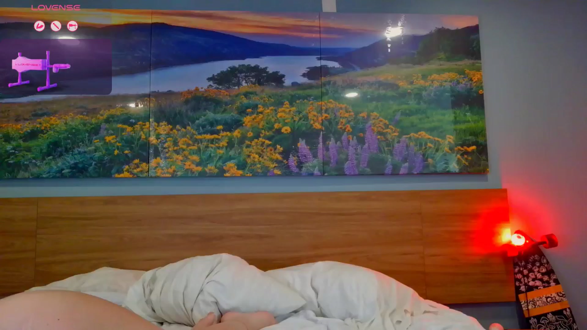 Gallery image thumbnail from Sexylv's myfreecams stream on, 10/17/2024, 14:16 image 5 of 20
