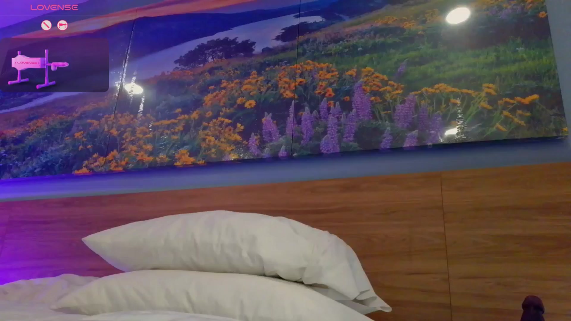 Gallery image thumbnail from Sexylv's myfreecams stream on, 10/19/2024, 11:12 image 17 of 20