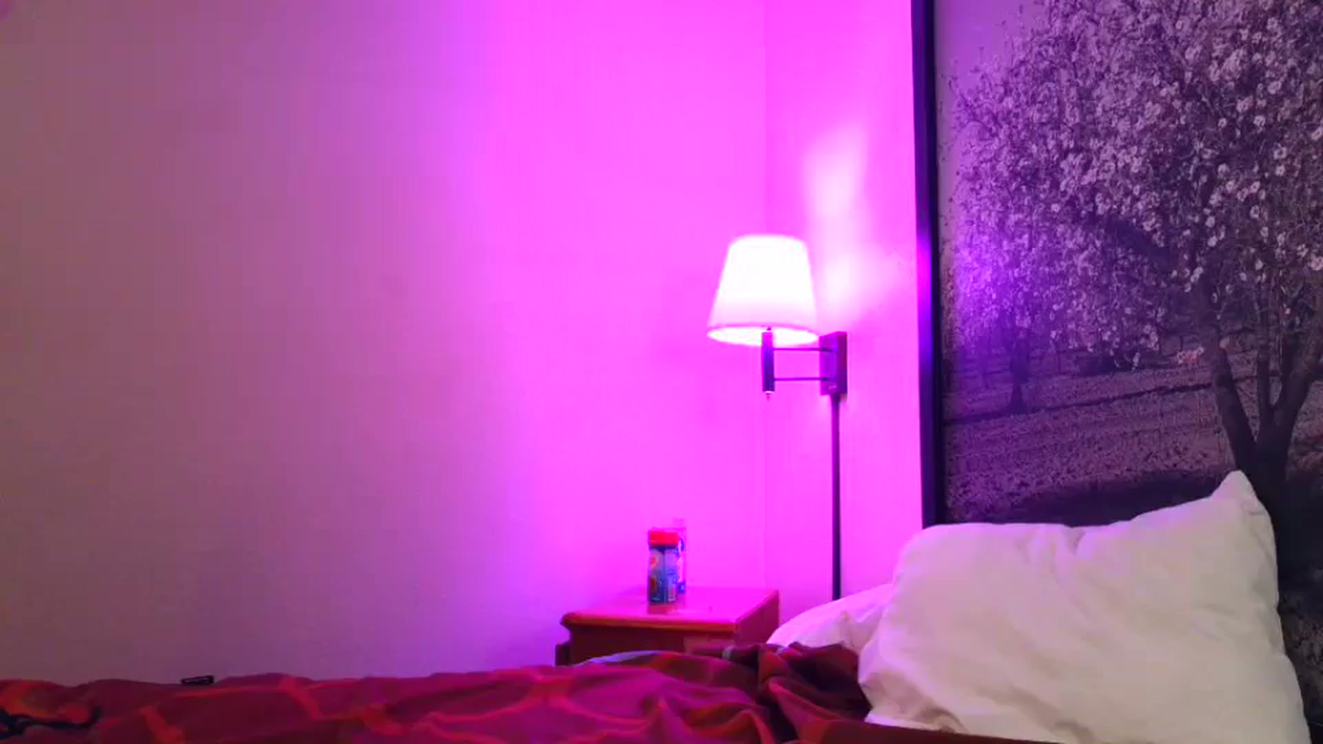 Gallery image thumbnail from Sexylv's myfreecams stream on, 02/26/2025, 14:41 image 1 of 20