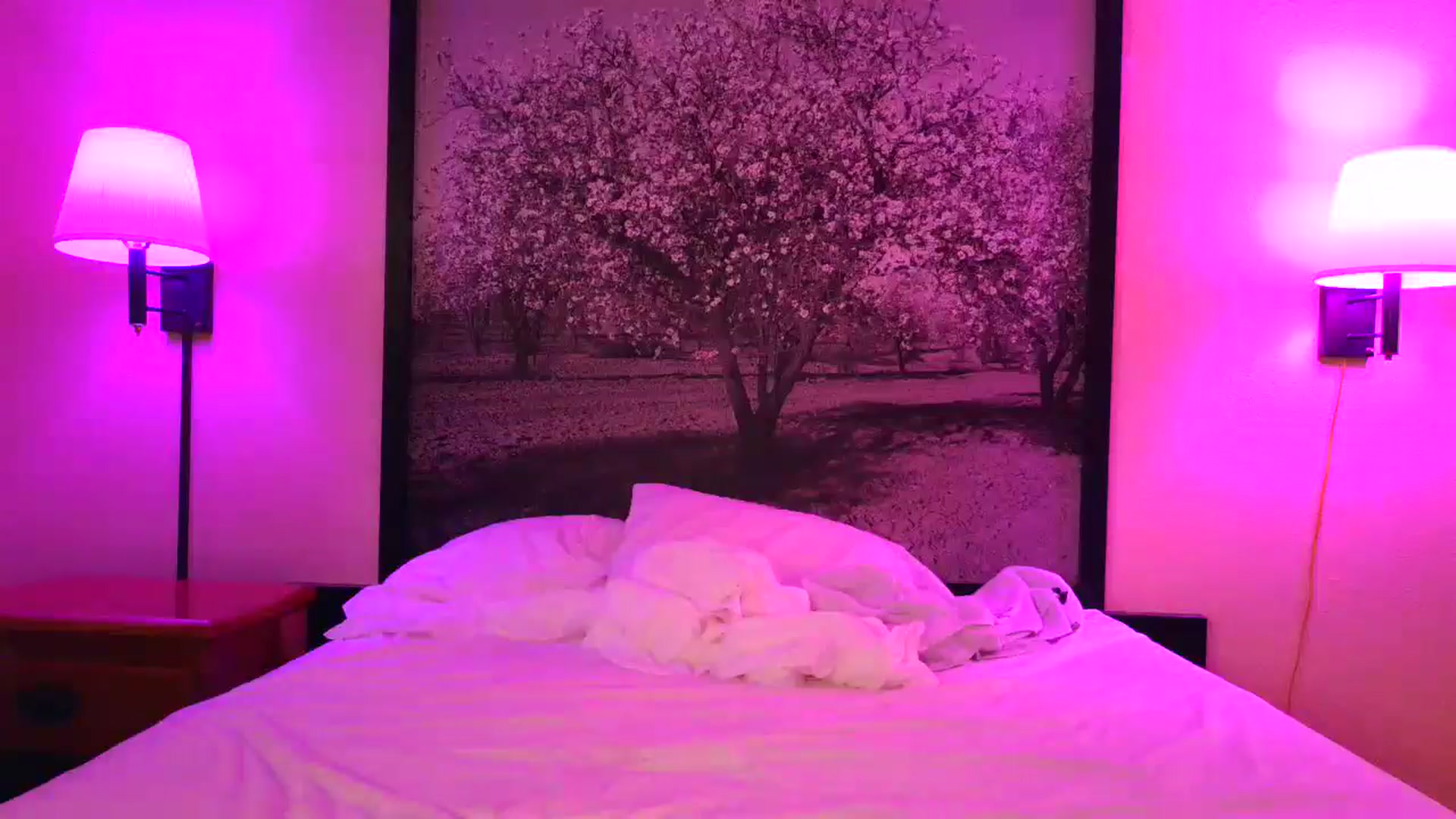 Gallery image thumbnail from Sexylv's myfreecams stream on, 03/06/2025, 13:30 image 15 of 20