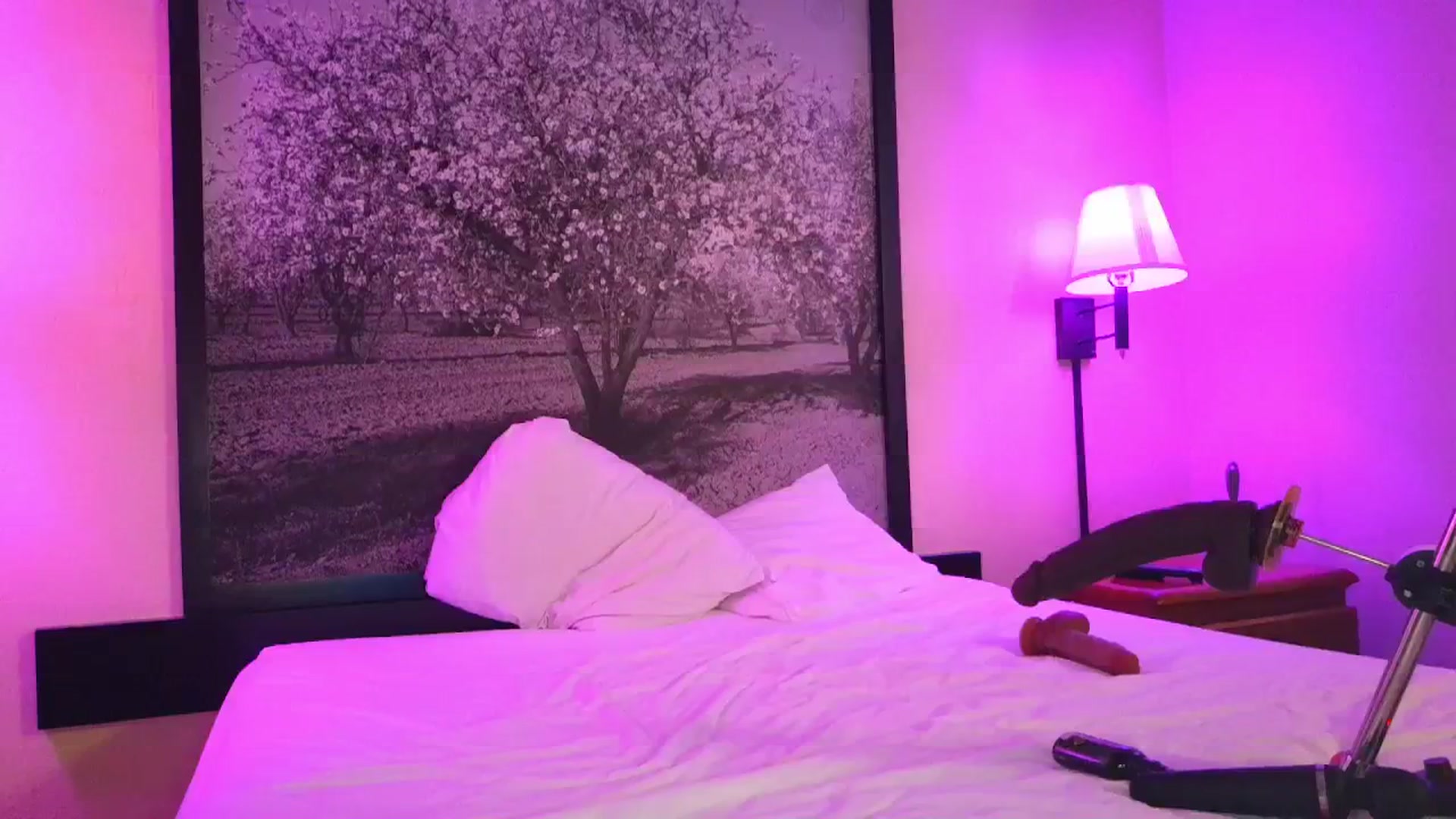 Gallery image thumbnail from Sexylv's myfreecams stream on, 03/25/2025, 08:13 image 12 of 20