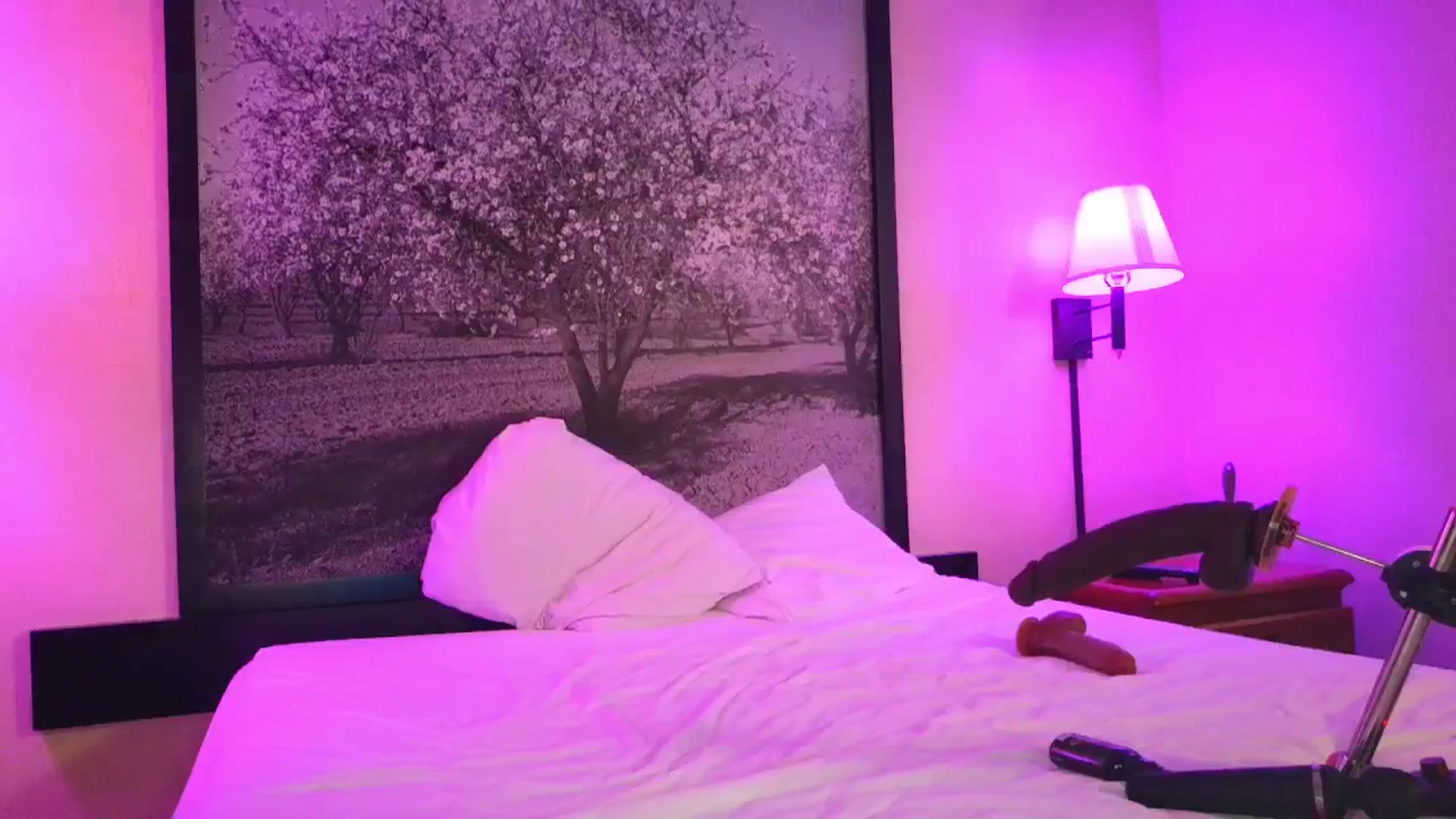 Gallery image thumbnail from Sexylv's myfreecams stream on, 03/25/2025, 08:13 image 11 of 20