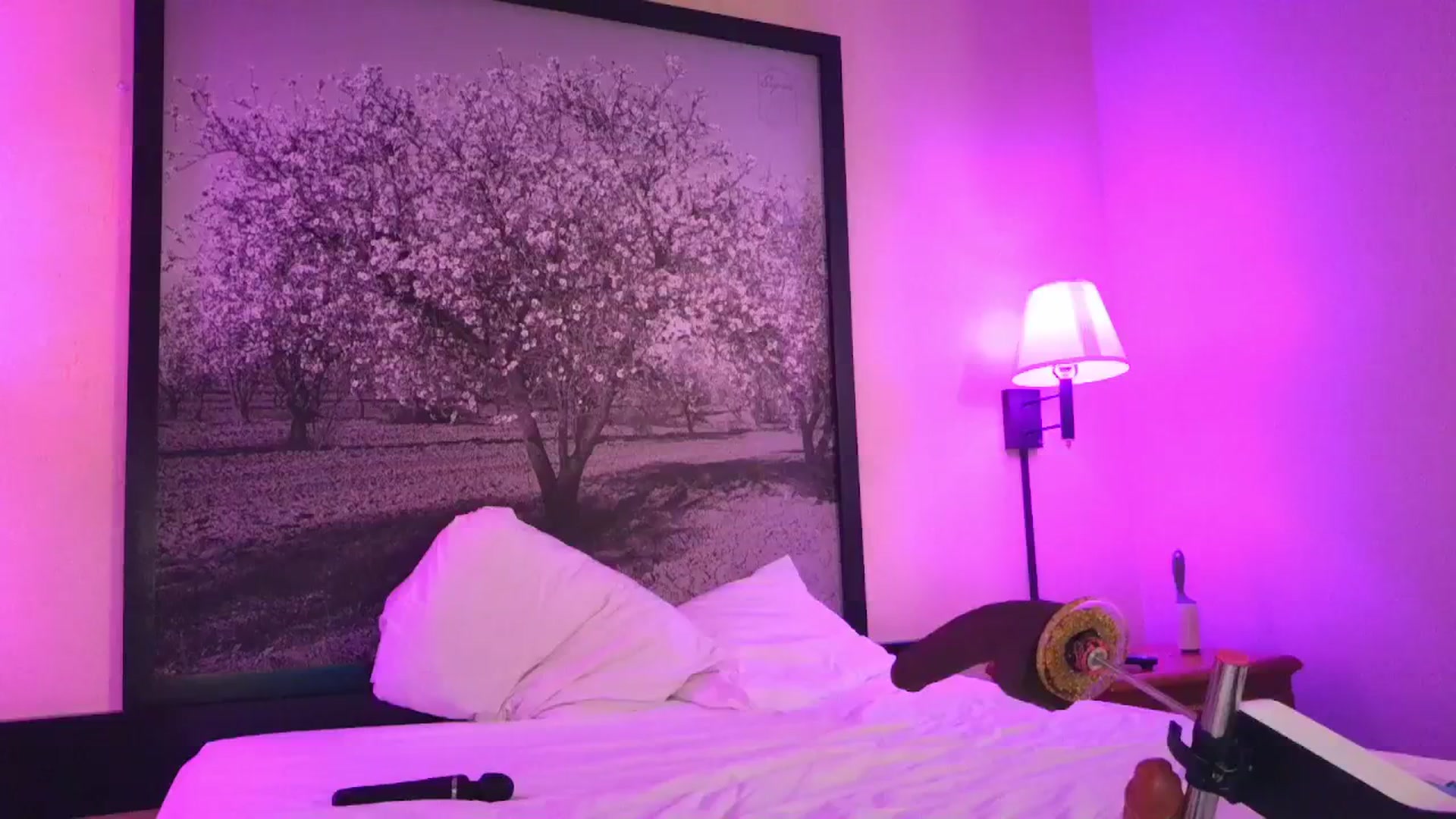Gallery image thumbnail from Sexylv's myfreecams stream on, 03/25/2025, 09:43 image 4 of 20