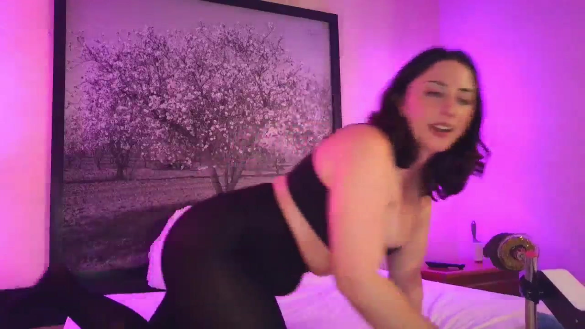 Gallery image thumbnail from Sexylv's myfreecams stream on, 03/25/2025, 09:43 image 8 of 20