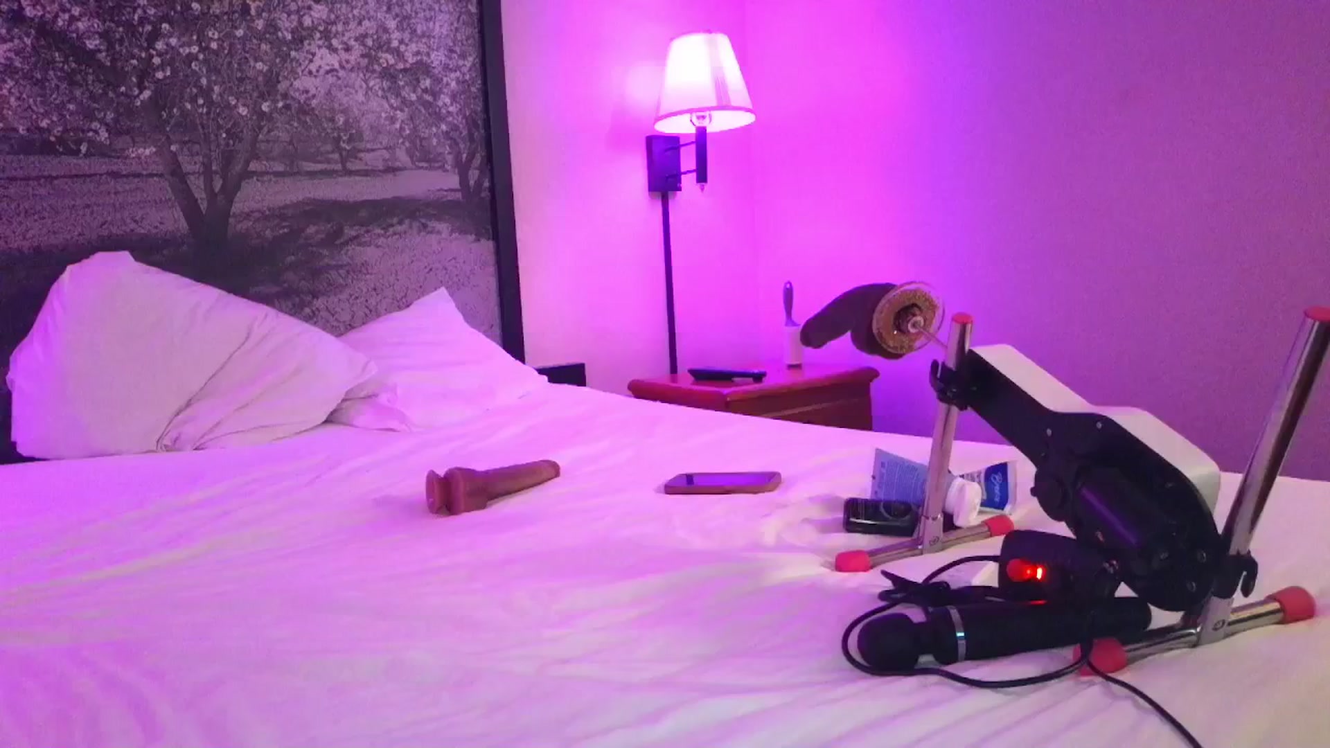 Gallery image thumbnail from Sexylv's myfreecams stream on, 03/25/2025, 10:32 image 1 of 20