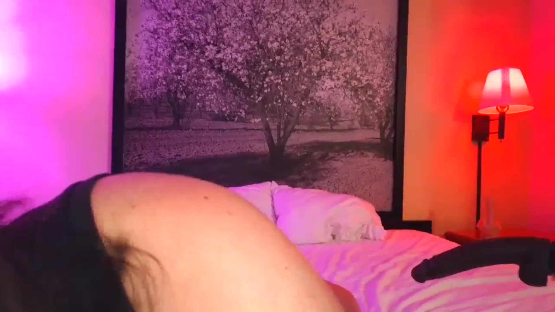 Gallery image thumbnail from Sexylv's myfreecams stream on, 03/27/2025, 11:03 image 5 of 20
