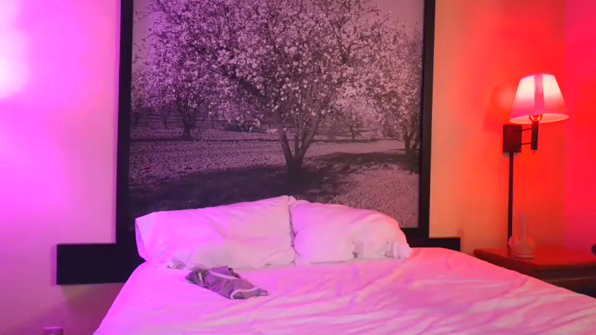 Gallery image thumbnail from Sexylv's myfreecams stream on, 03/27/2025, 11:18 image 18 of 20