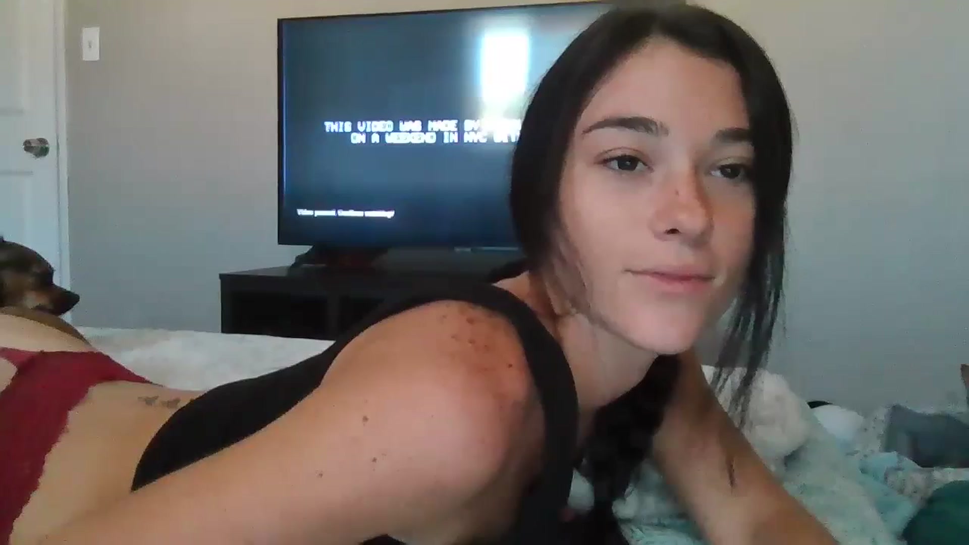 Gallery image thumbnail from Sexyy_lexxxi's myfreecams stream on, 09/23/2023, 16:56 image 10 of 20