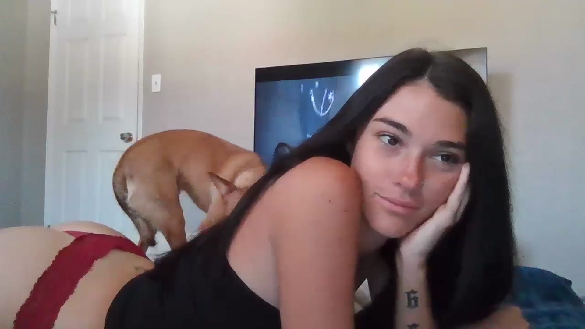 Gallery image thumbnail from Sexyy_lexxxi's myfreecams stream on, 10/03/2023, 15:54 image 4 of 20