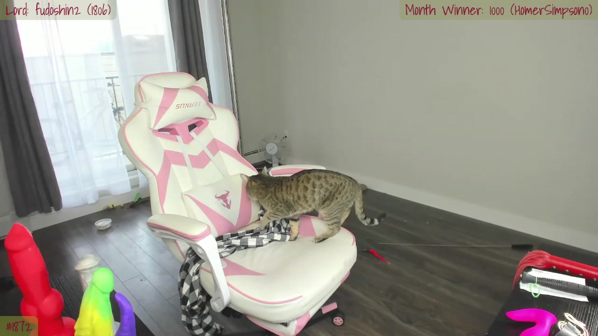 Gallery image thumbnail from ShaeSwan's myfreecams stream on, 05/10/2023, 02:23 image 13 of 20