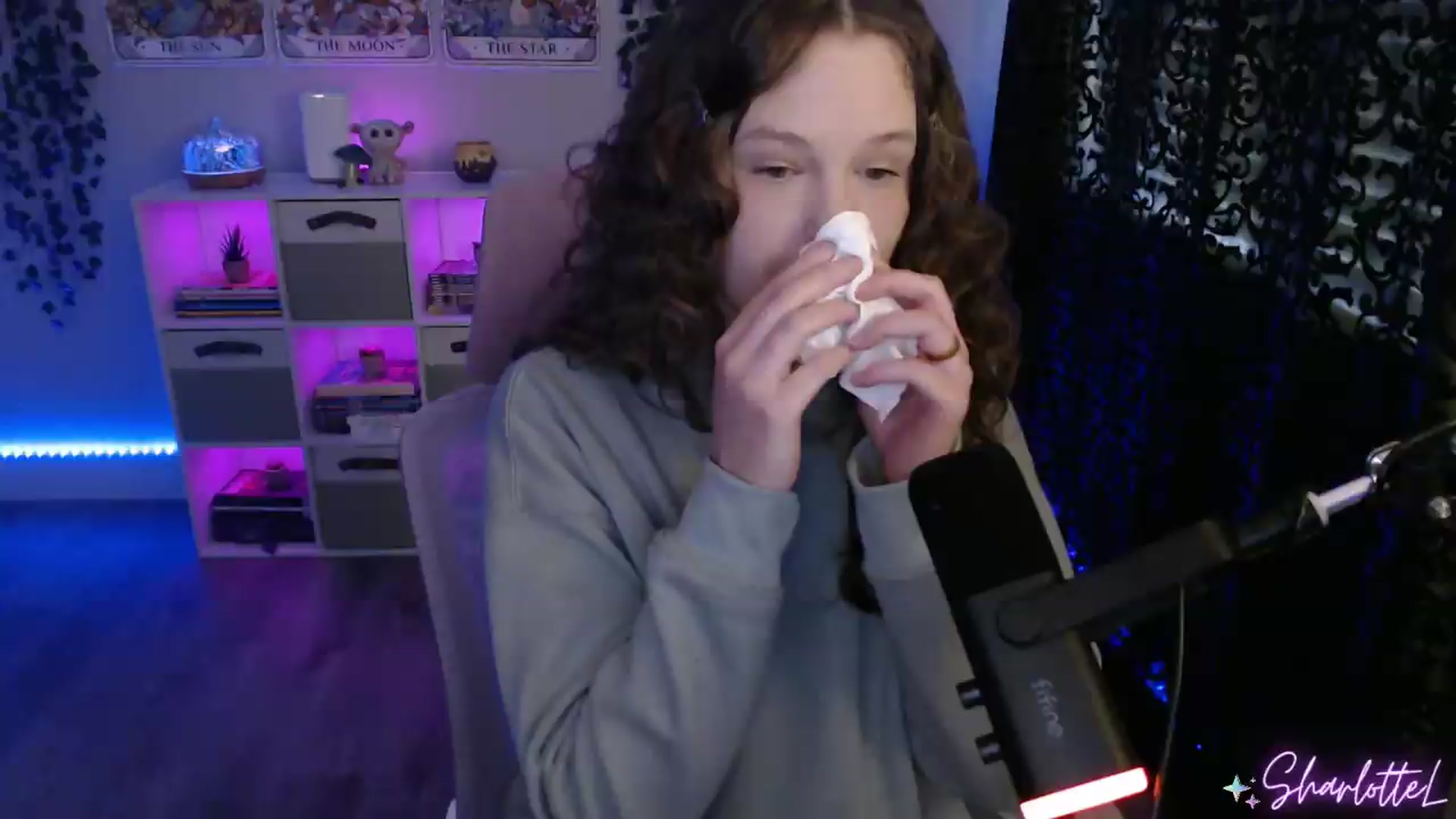 Gallery image thumbnail from SharlotteL's myfreecams stream on, 05/14/2026, 22:19 image 3 of 20