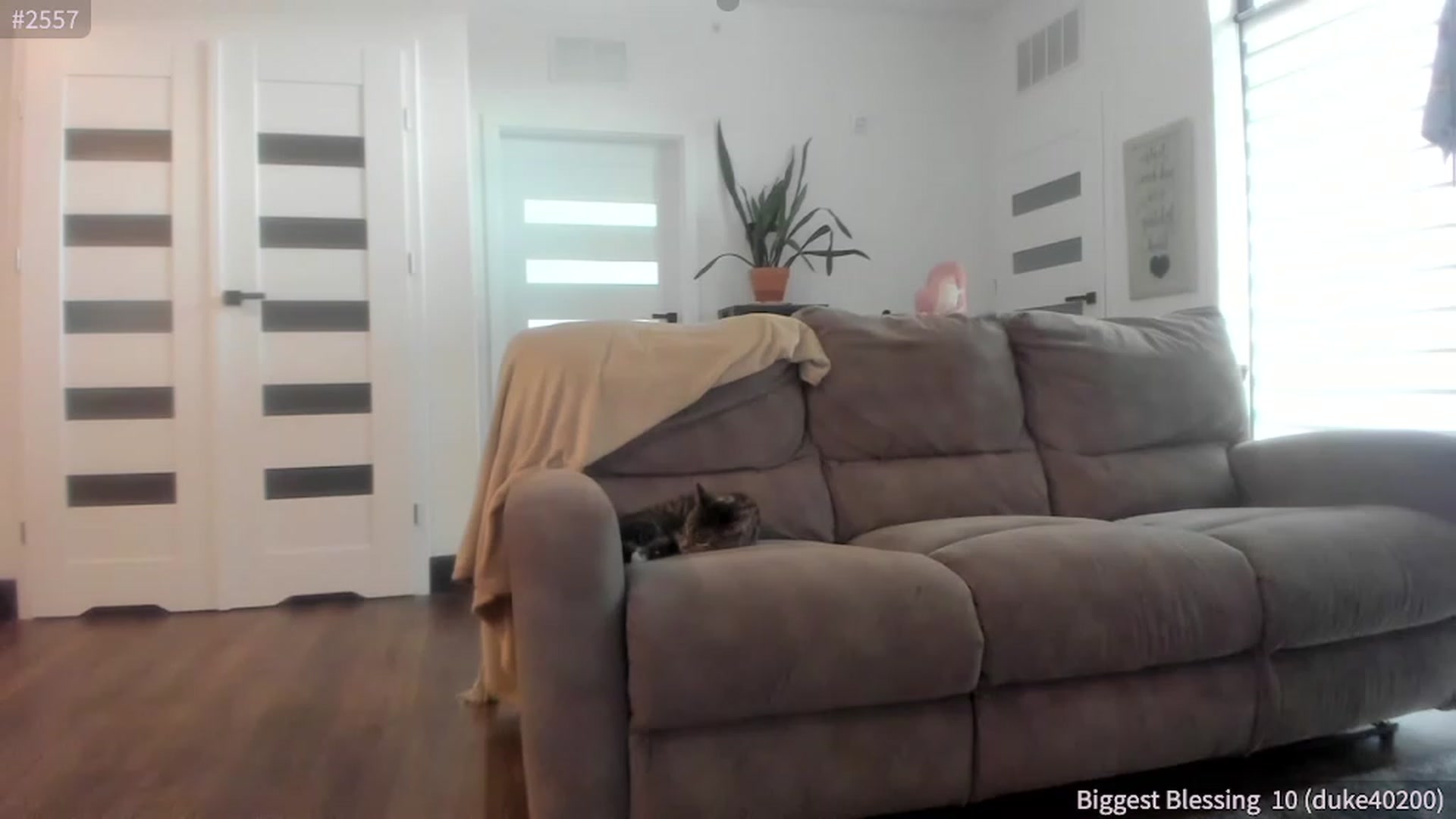 Gallery image thumbnail from ShaunaSays's myfreecams stream on, 04/27/2023, 15:12 image 19 of 20