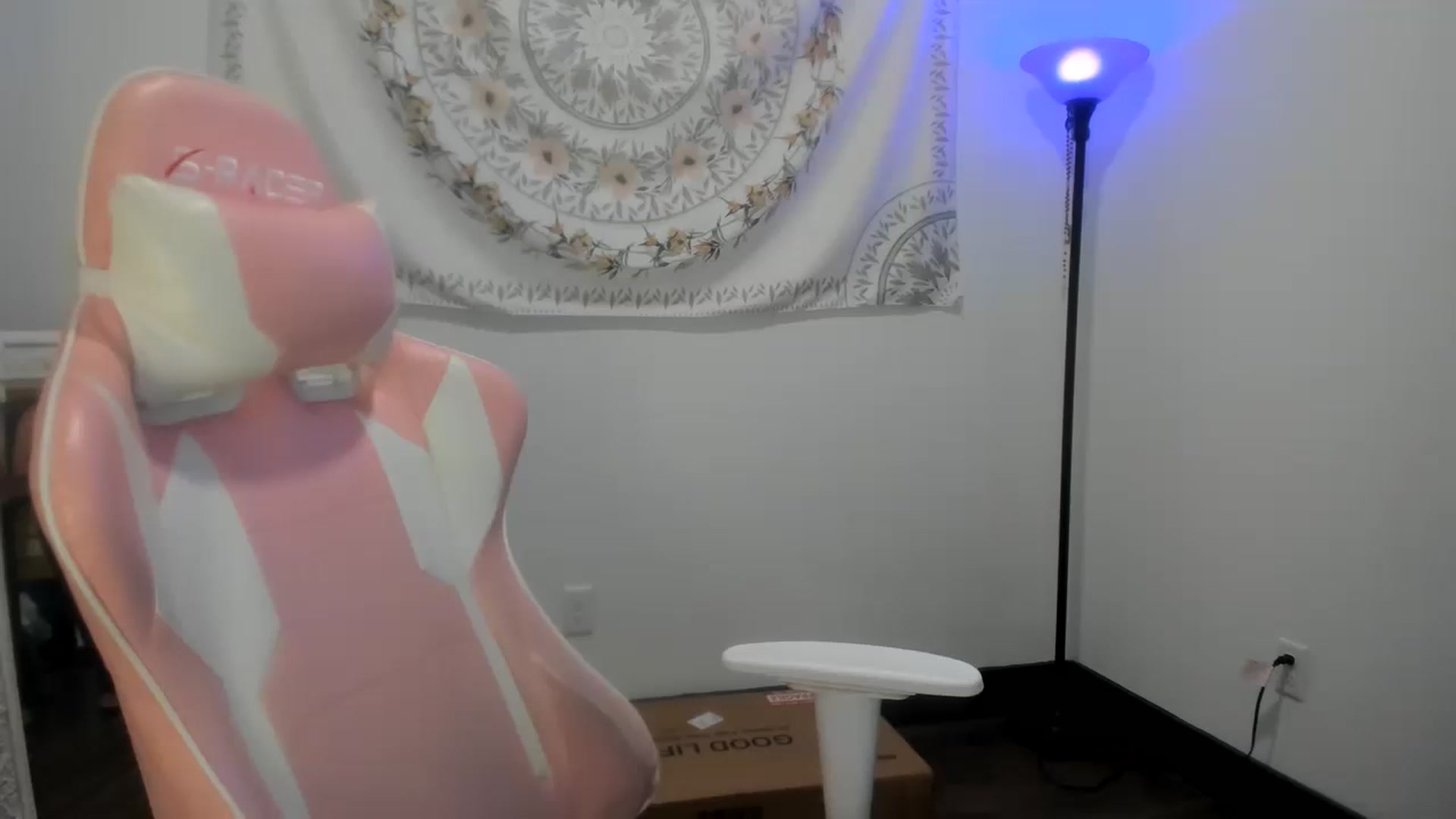 Gallery image thumbnail from ShaunaSays's myfreecams stream on, 04/28/2023, 19:58 image 2 of 20