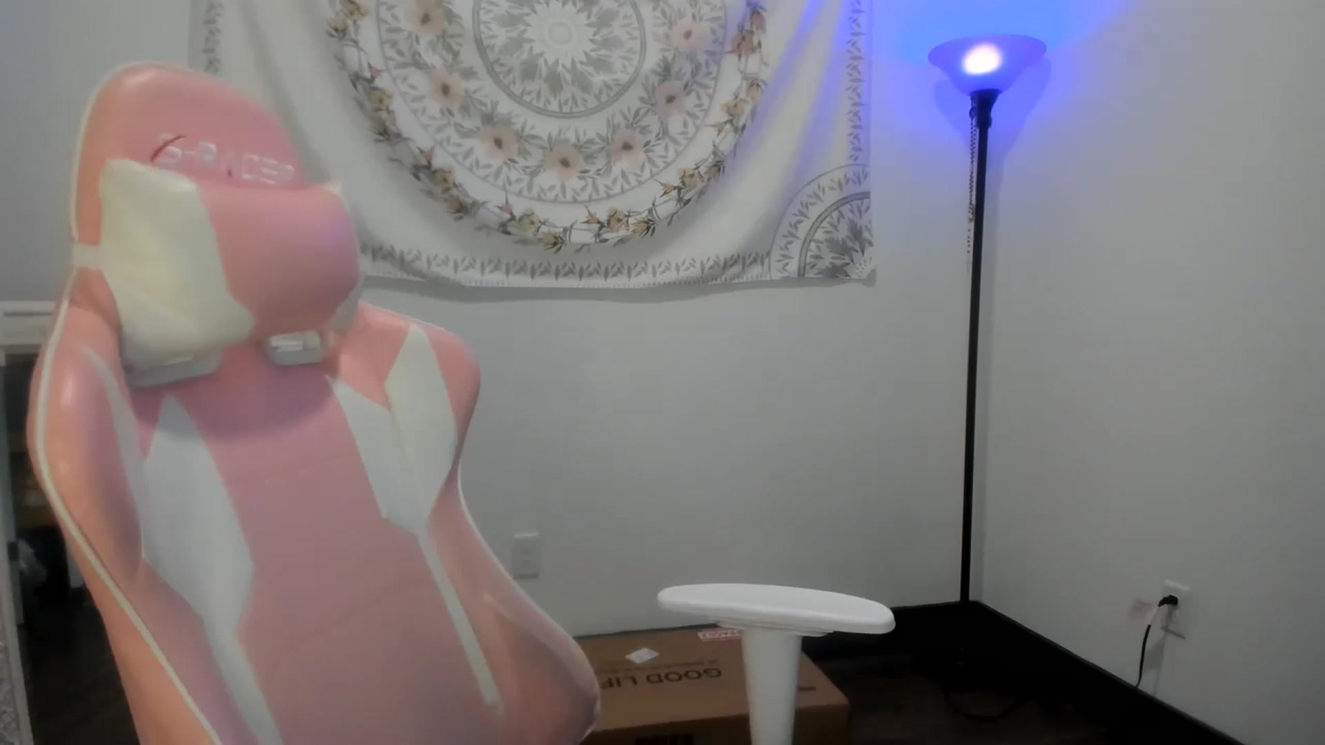 Gallery image thumbnail from ShaunaSays's myfreecams stream on, 04/28/2023, 19:58 image 1 of 20