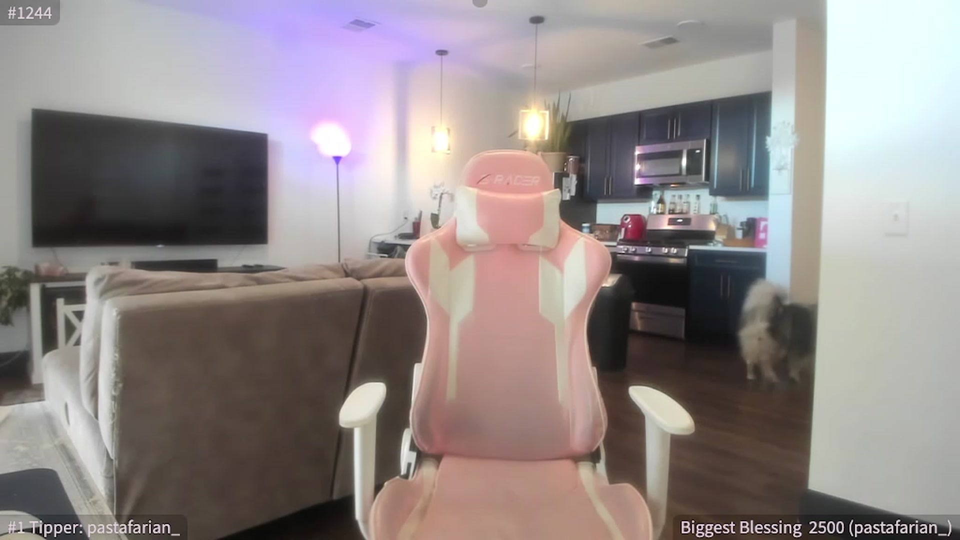 Gallery image thumbnail from ShaunaSays's myfreecams stream on, 09/12/2023, 16:12 image 17 of 20