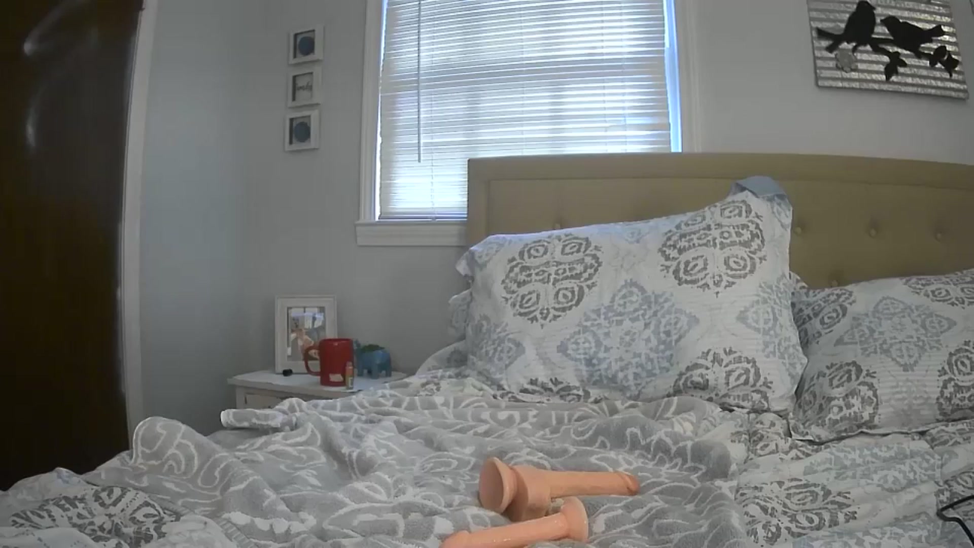 Gallery image thumbnail from Shayfallen's myfreecams stream on, 06/20/2024, 12:03 image 9 of 20